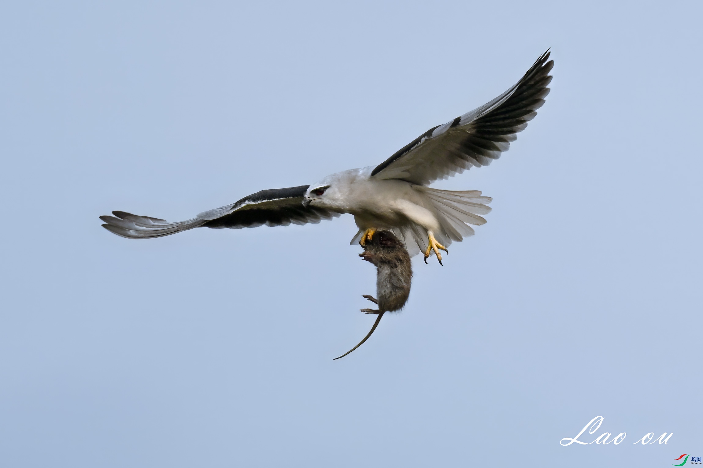 DSC_4429_����1.jpg
