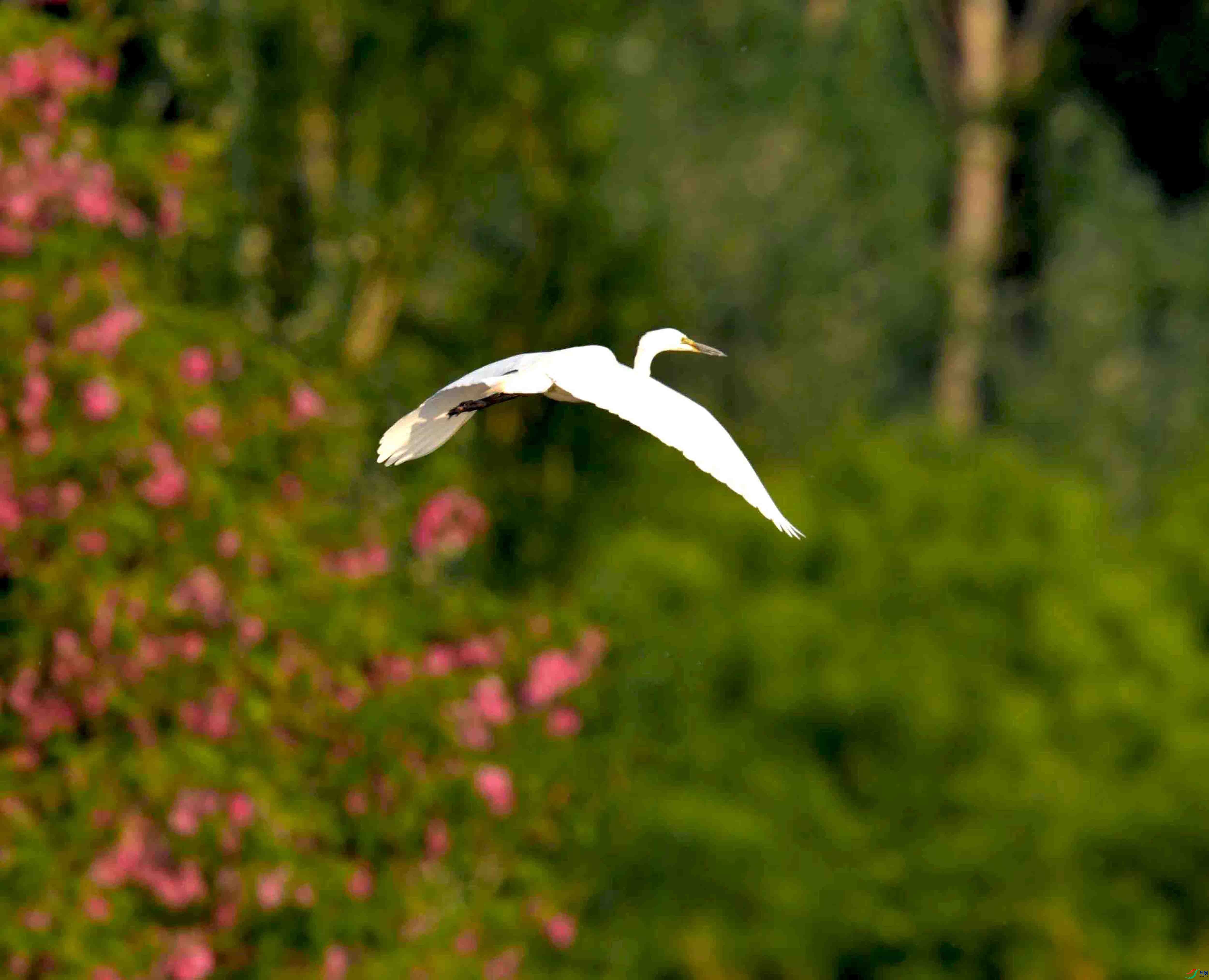 DSC_7177.JPG