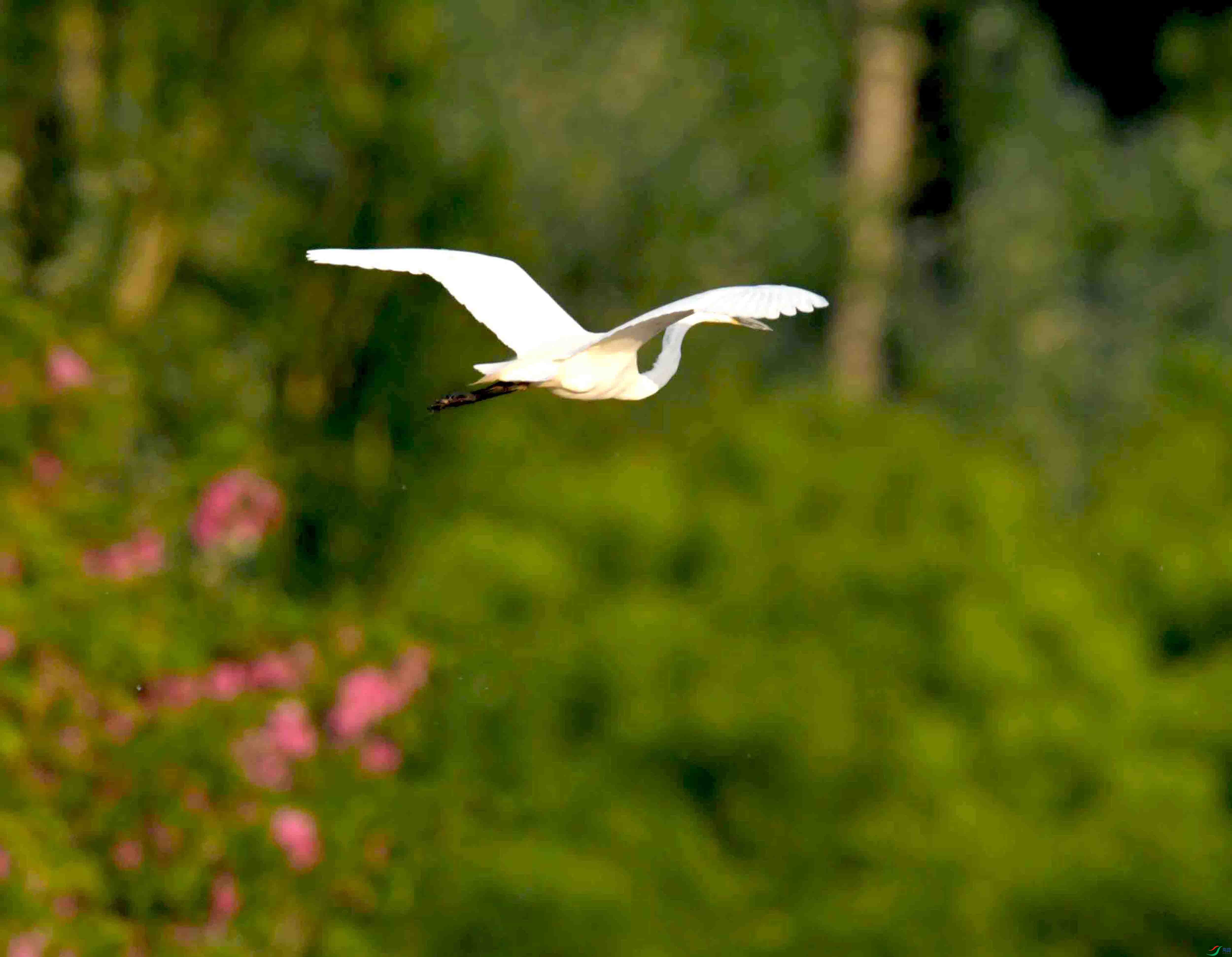 DSC_7178.JPG