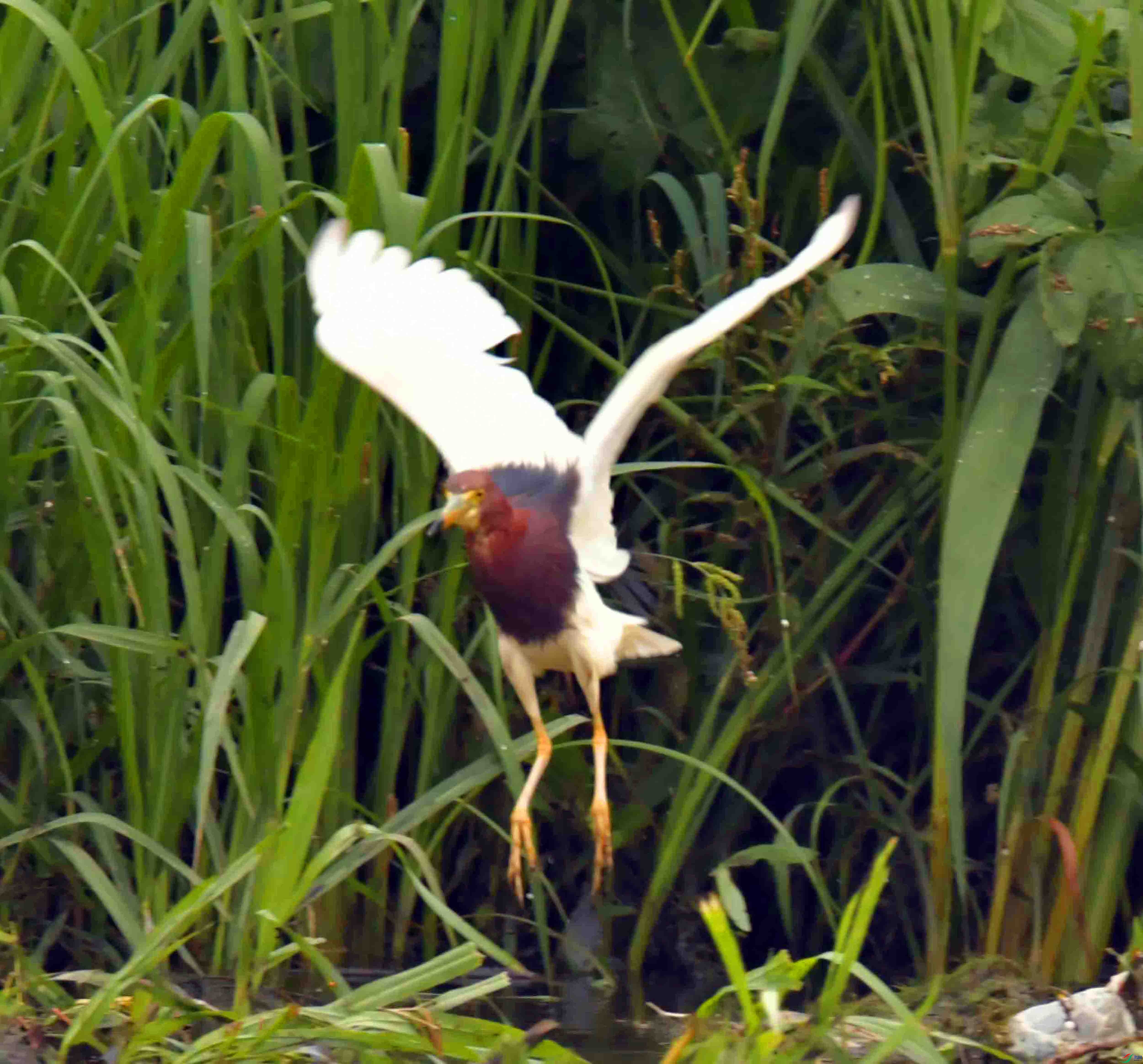DSC_1804.JPG