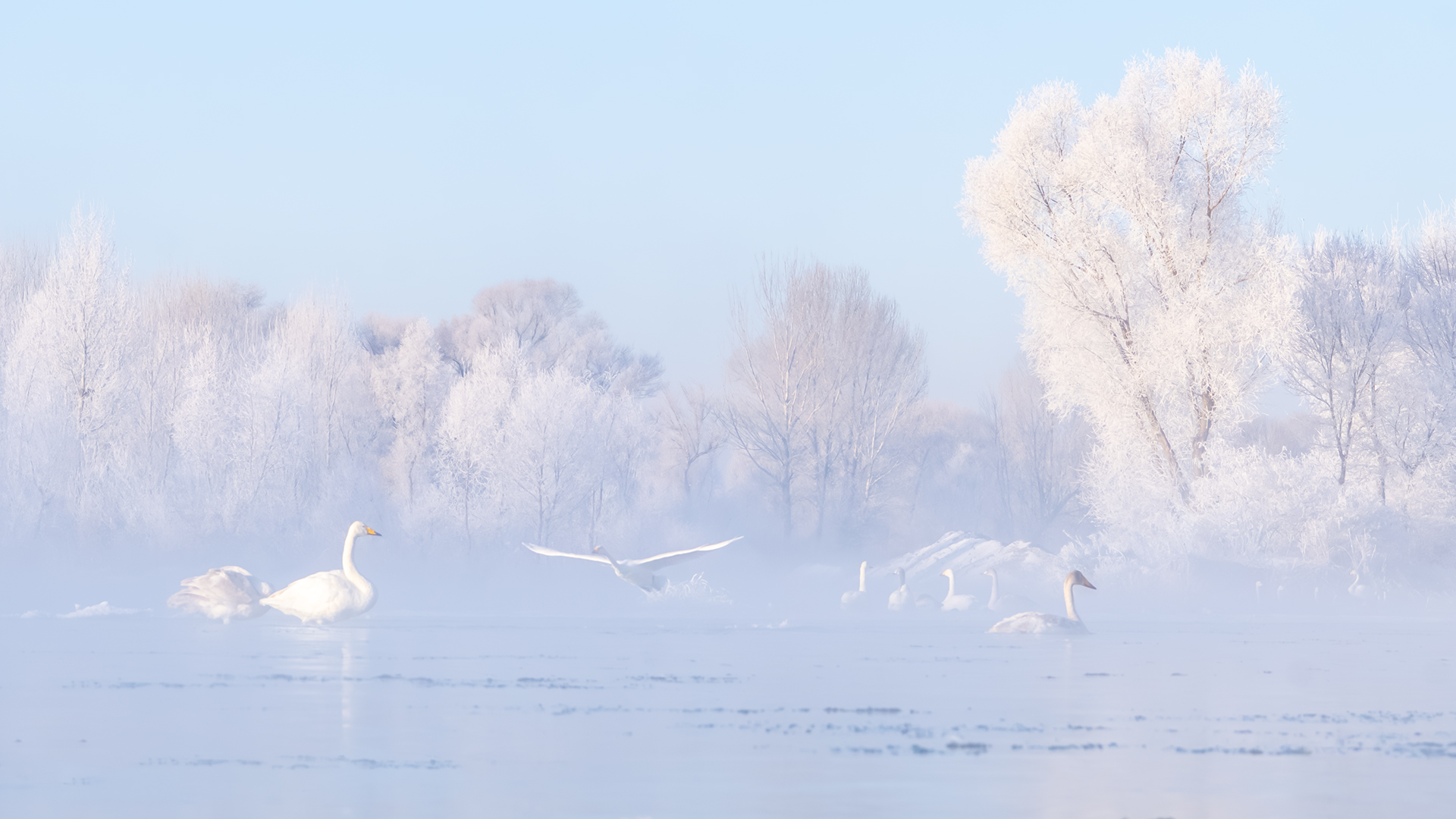 �ļ��� ���� ������ͷ.jpg