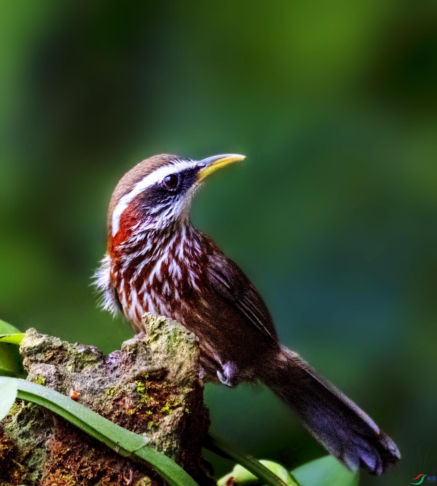 �ؾ�������