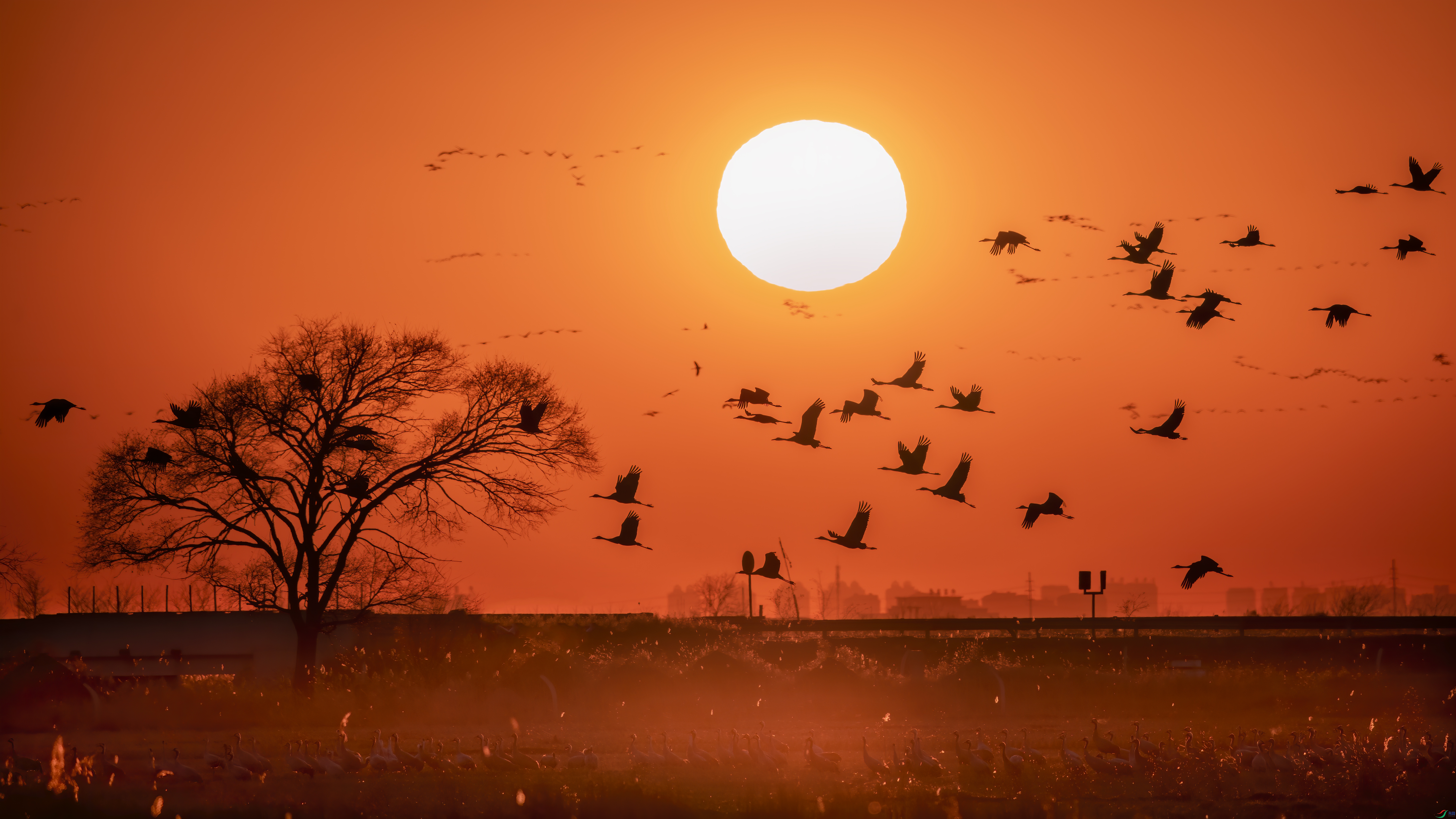 _DSC3188 ����.jpg