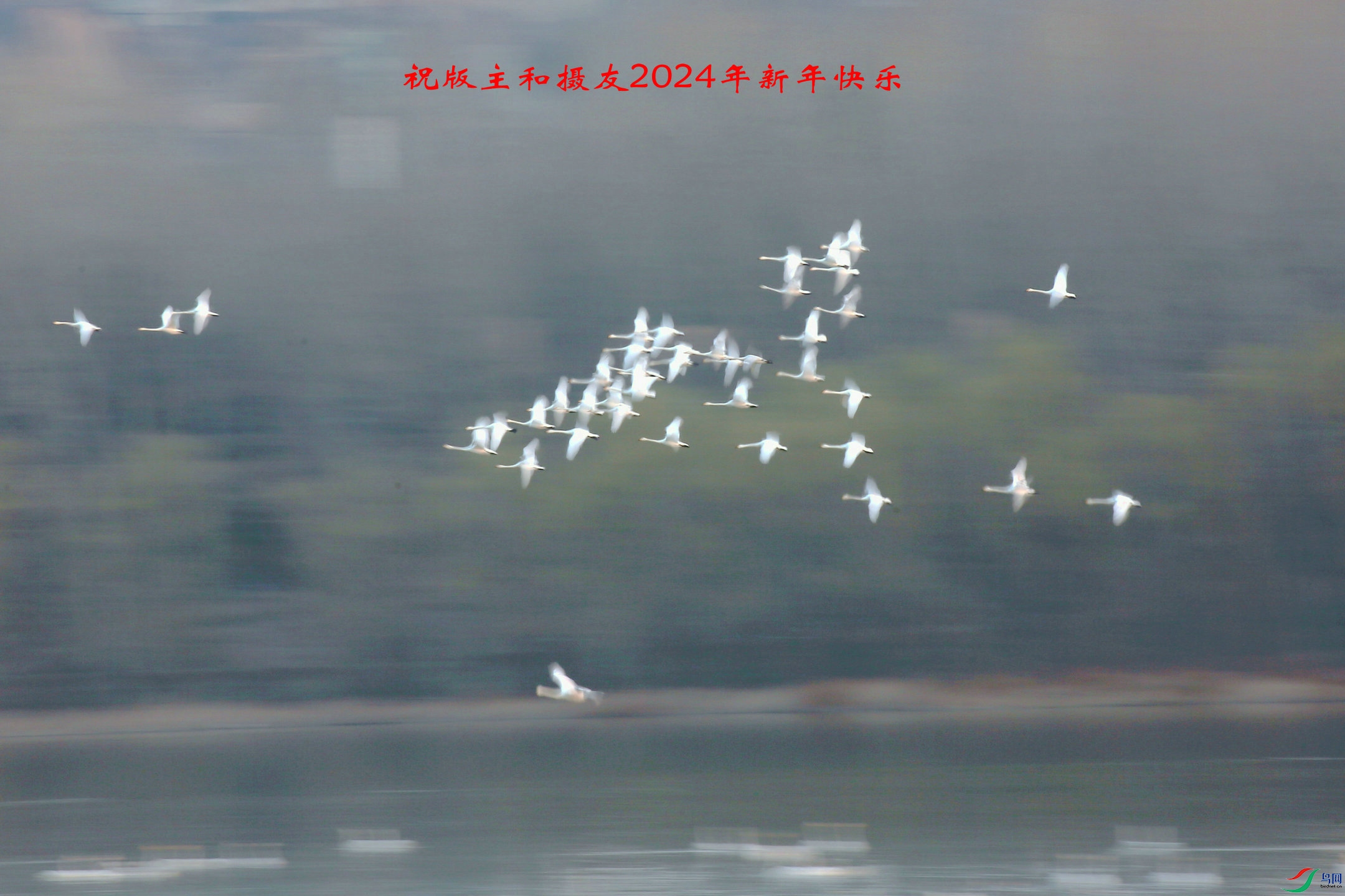 BG3A0314_����_����.jpg