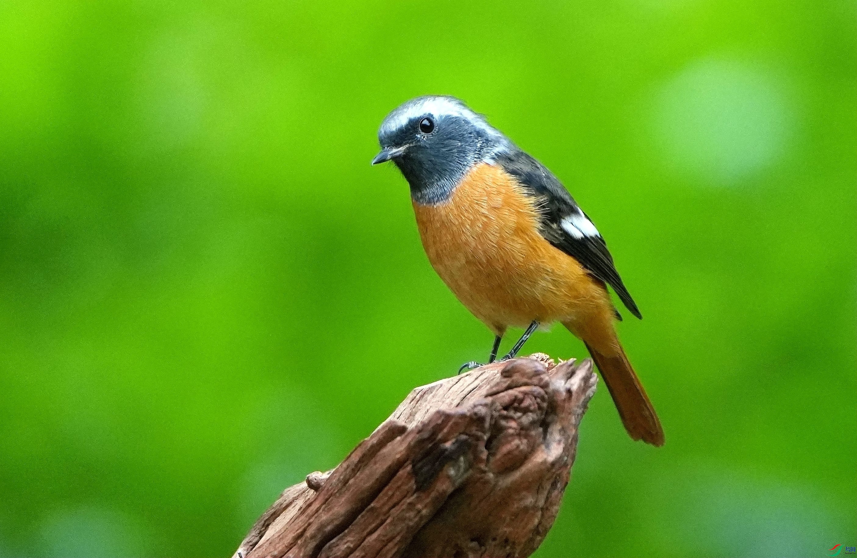 ���������DSC05707_����.jpg