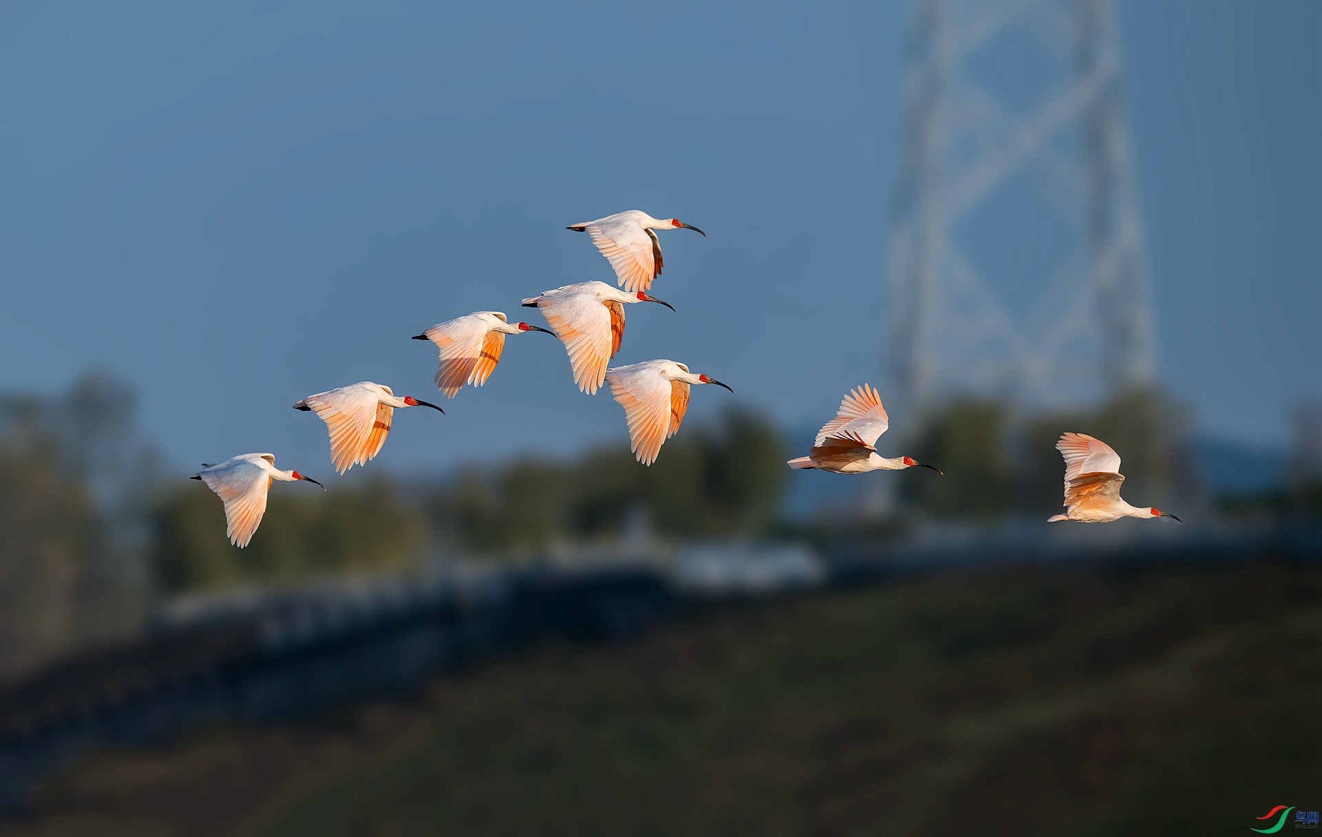 DSC_9997 ����_����.jpg