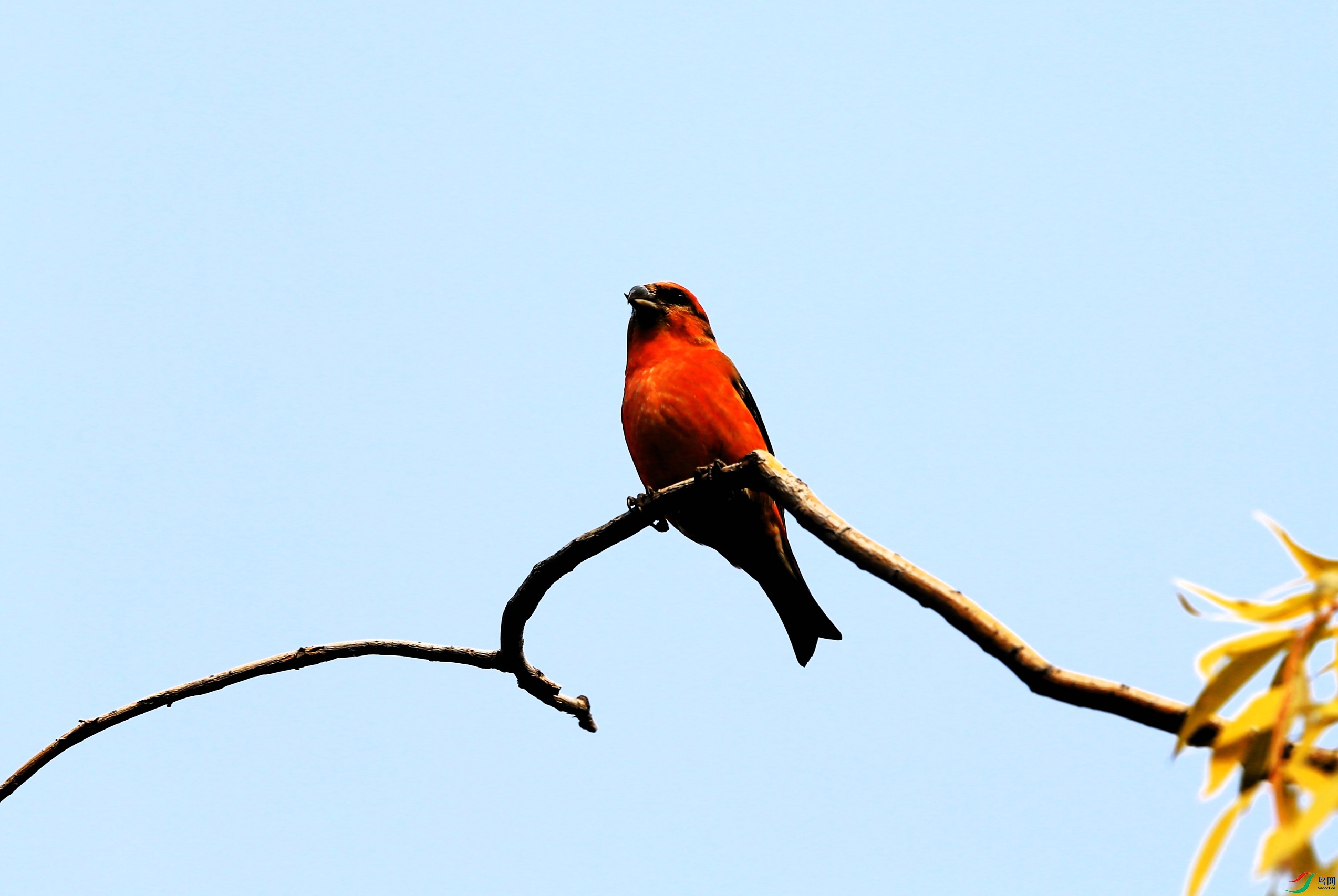 �콻��ȸ (2).JPG