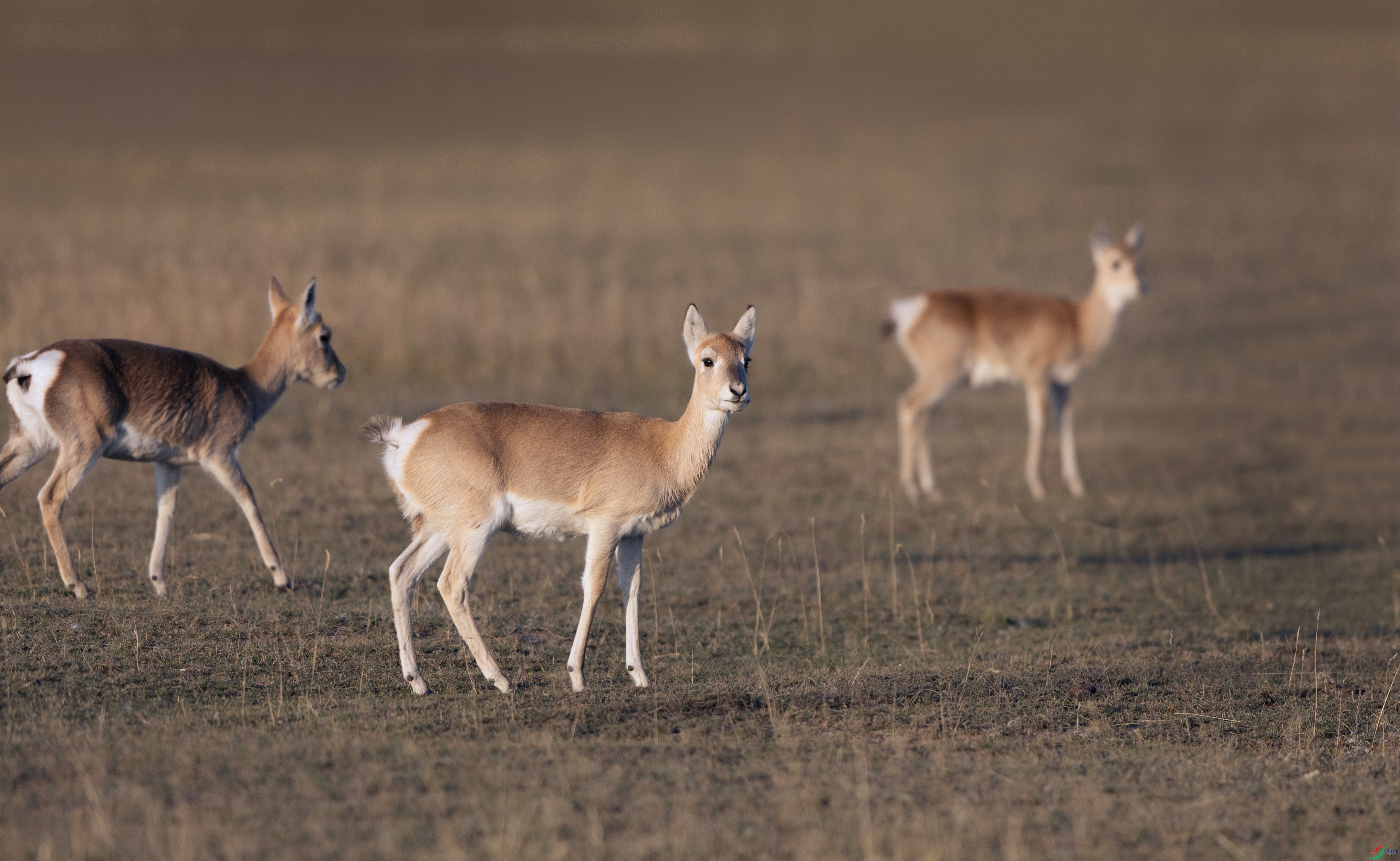 _X5A1255 - ����.jpg