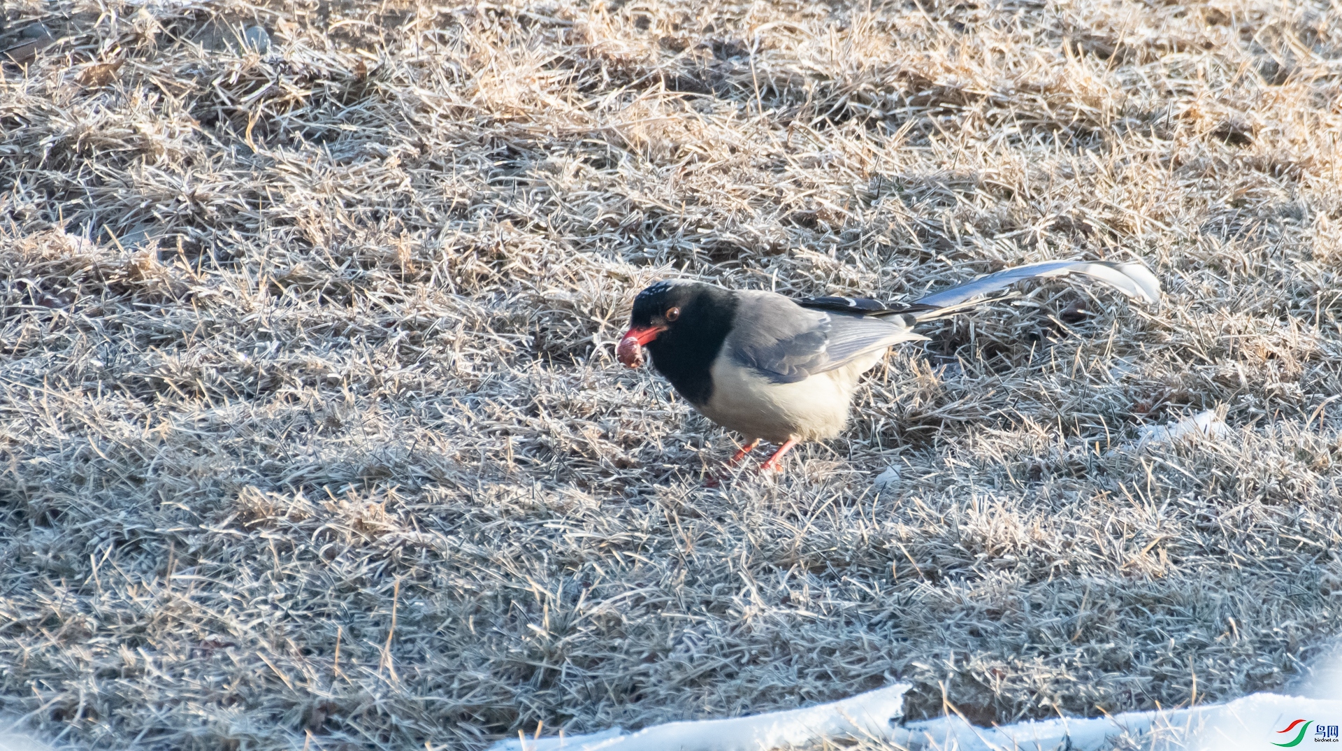 DSC_7445.jpg