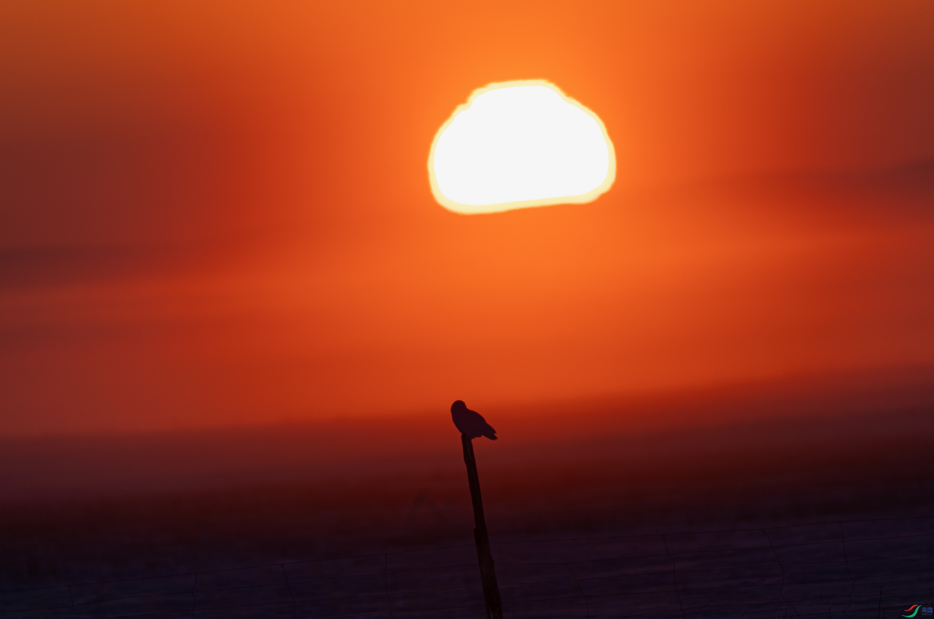 _72A1137.JPG