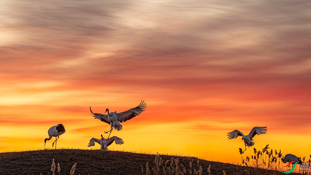 hljzlR231212 (1270)_DxO.jpg