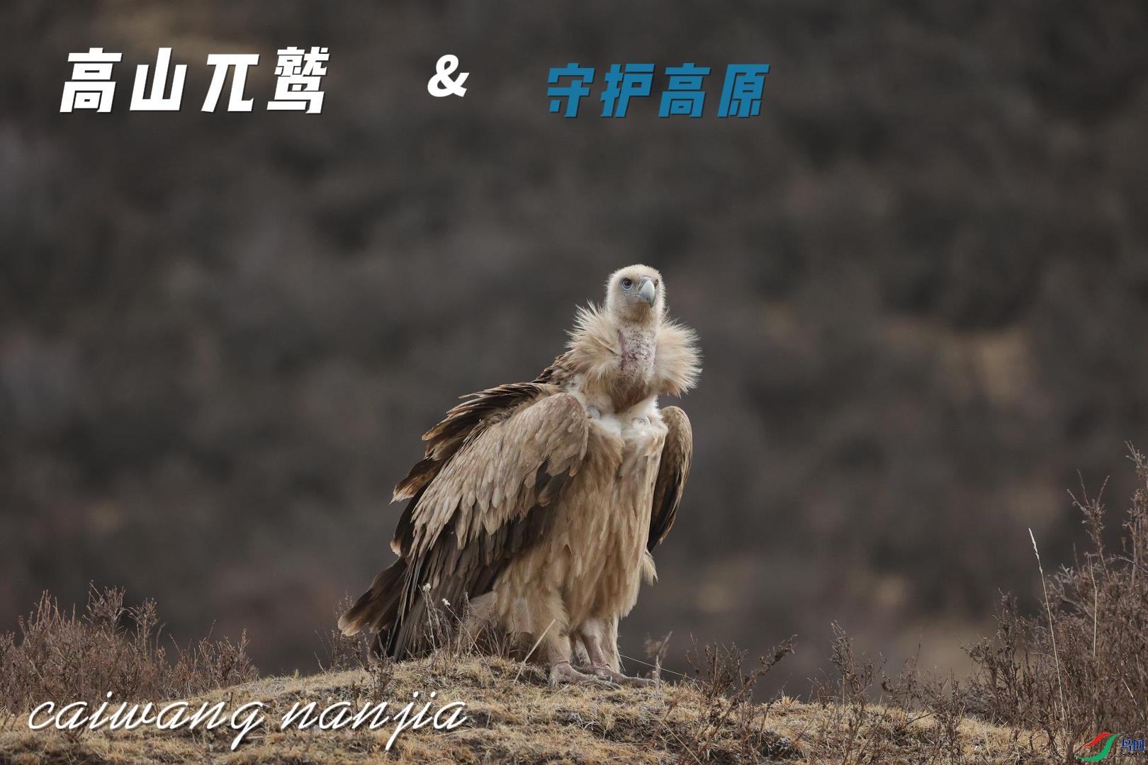 12��31�� (1)-����.jpg