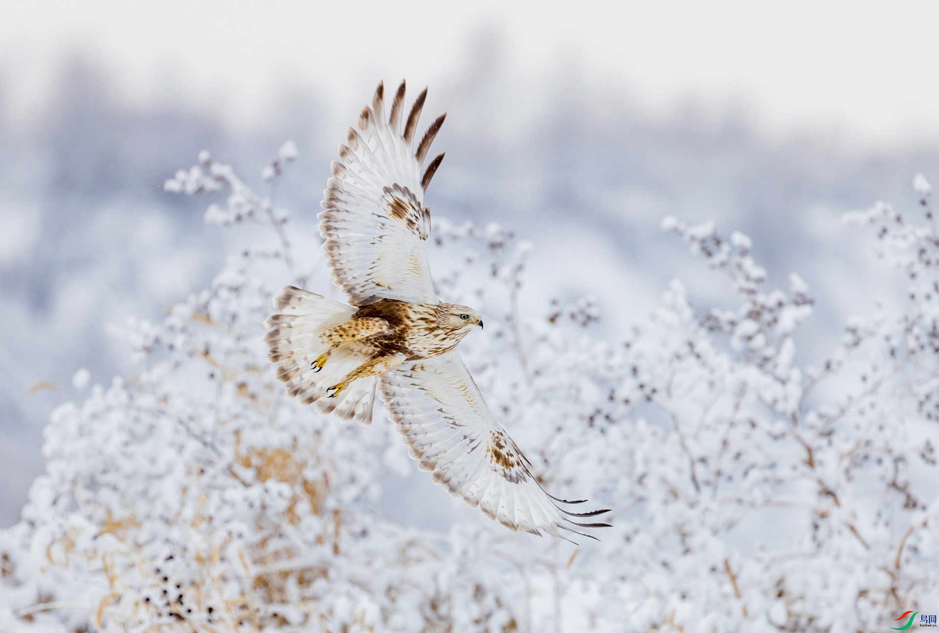 ��ڡë���\