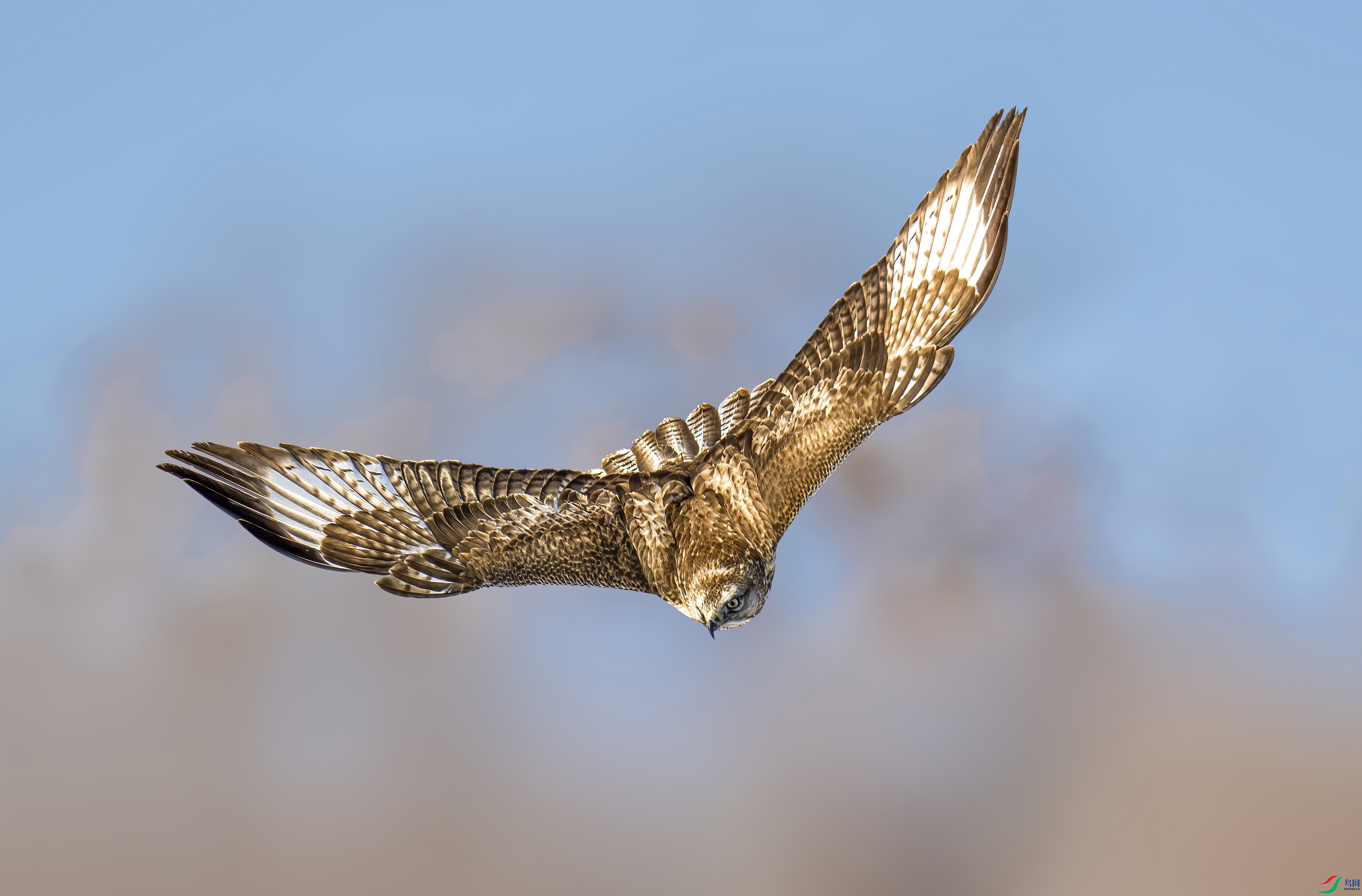 _JIL7882-����ǿ-NR ����OK.jpg