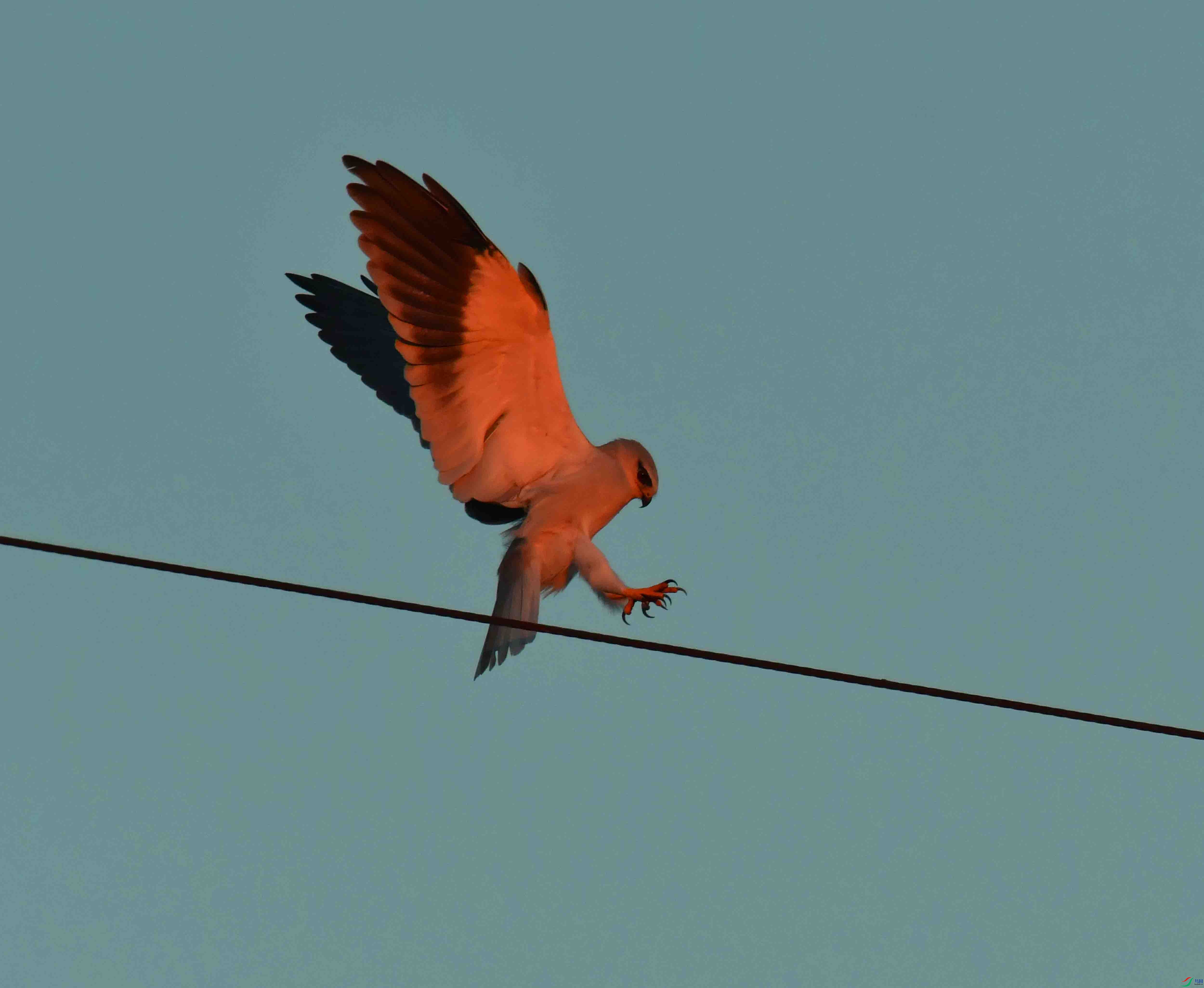 DSC_2003.JPG