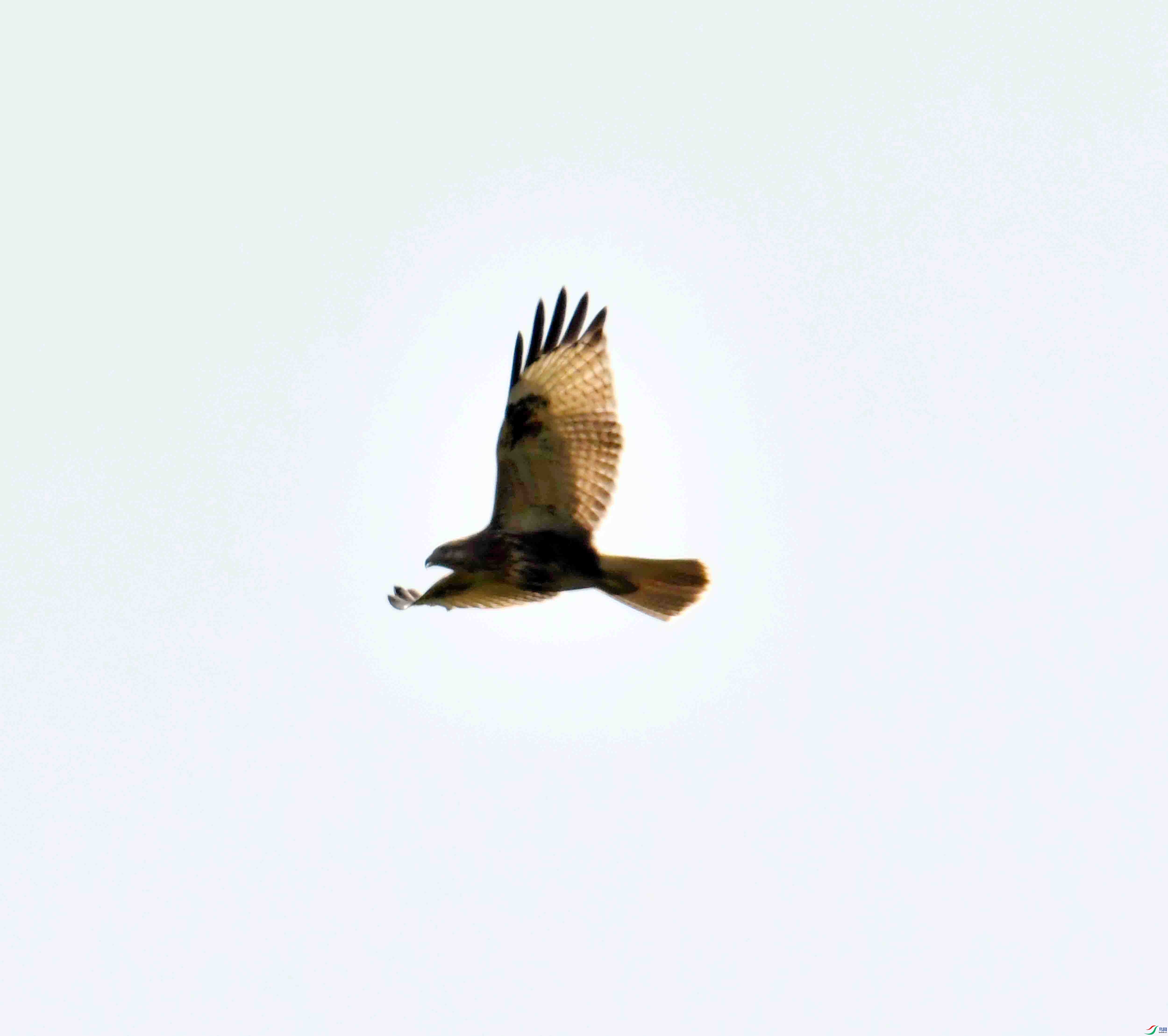 DSC_9054.JPG