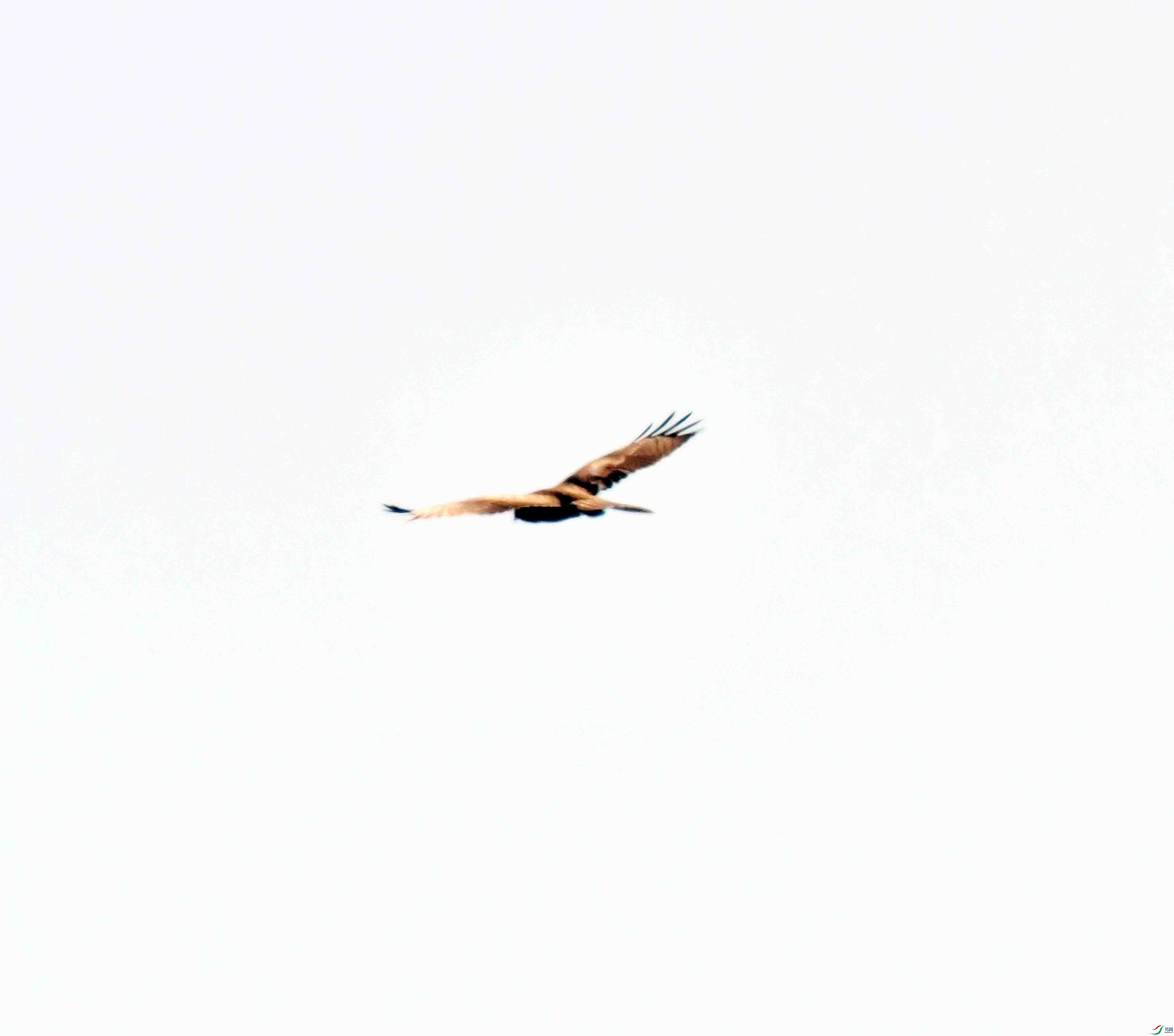 DSC_9066.JPG