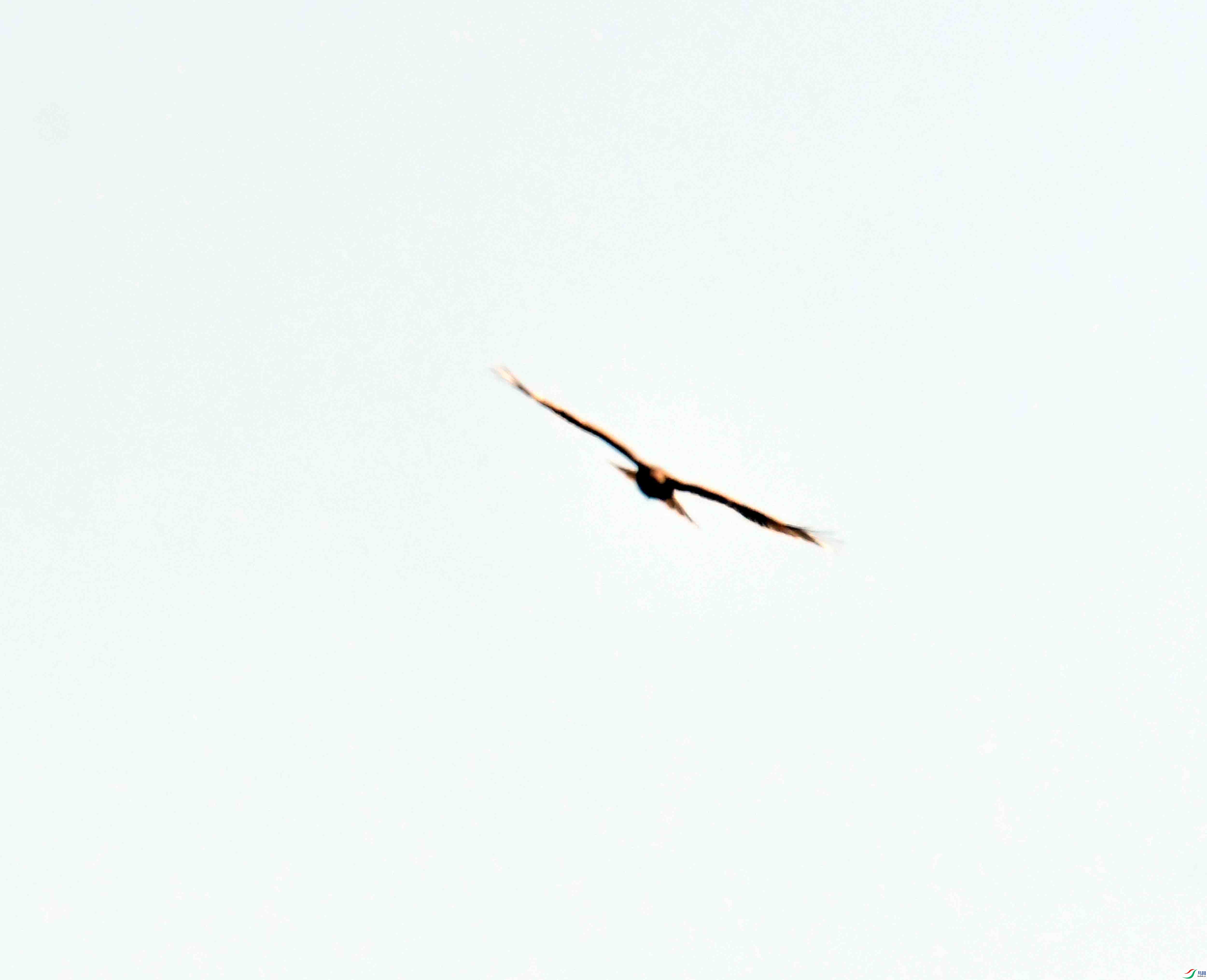 DSC_9068.JPG