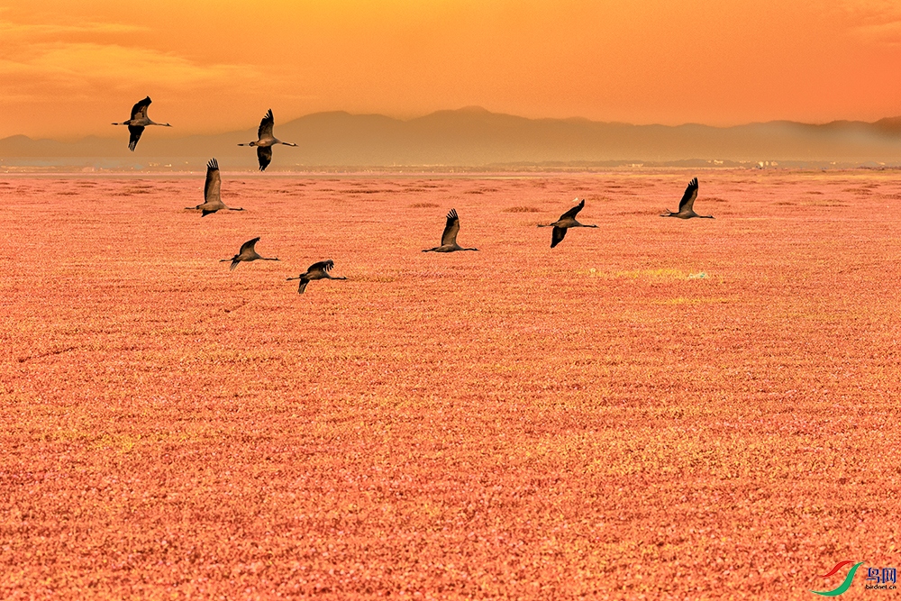 �Һ�----ޤ�ӻ����׷���   