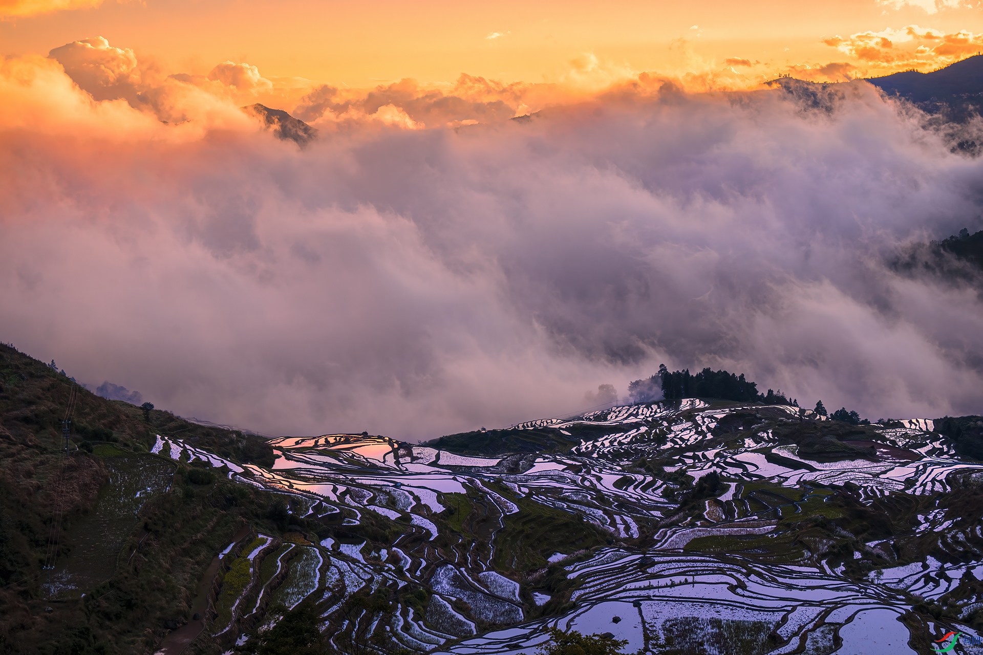 DSC_3237 - ������֣�.jpg