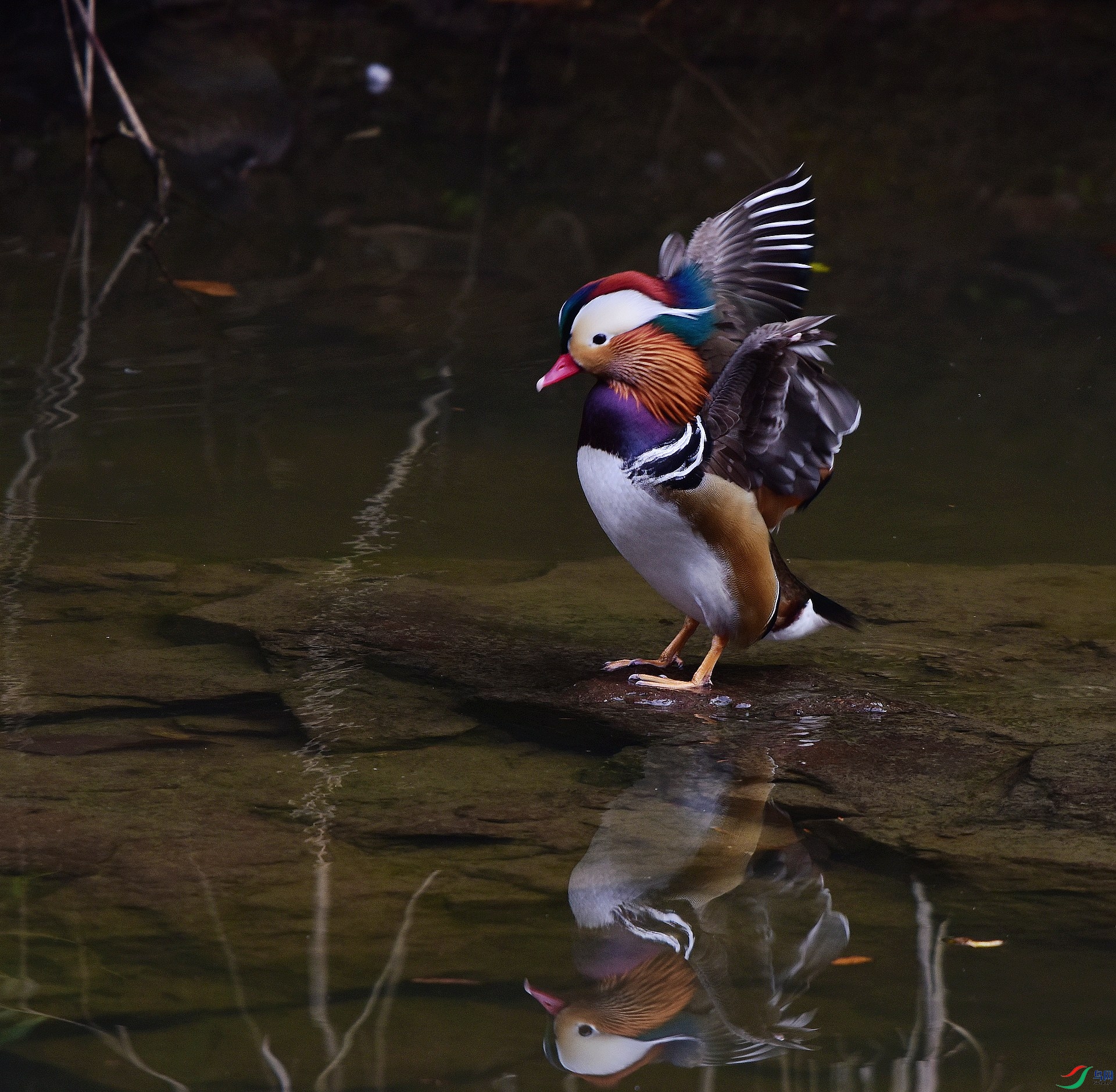 D8I_0900.jpg