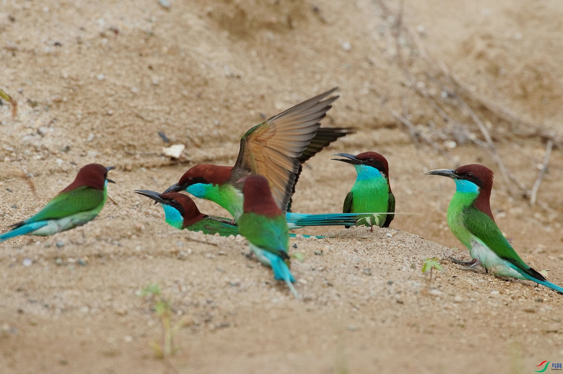 1DS_7954.jpg
