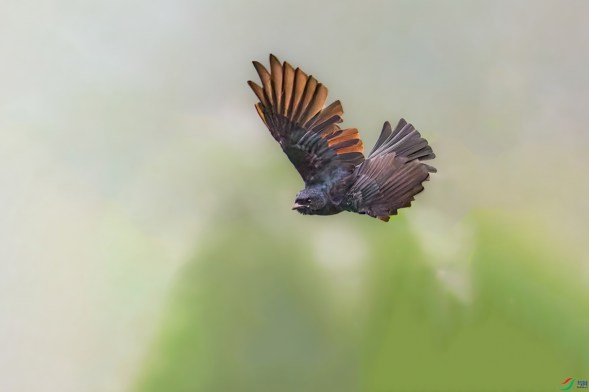 _MG_5506.jpg