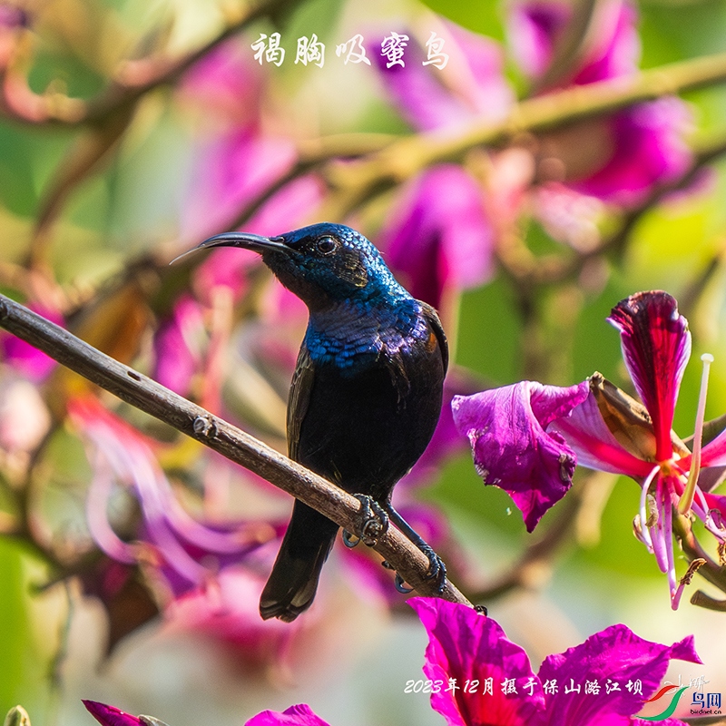 DSC09010-����ǿ-����-�༭.jpg