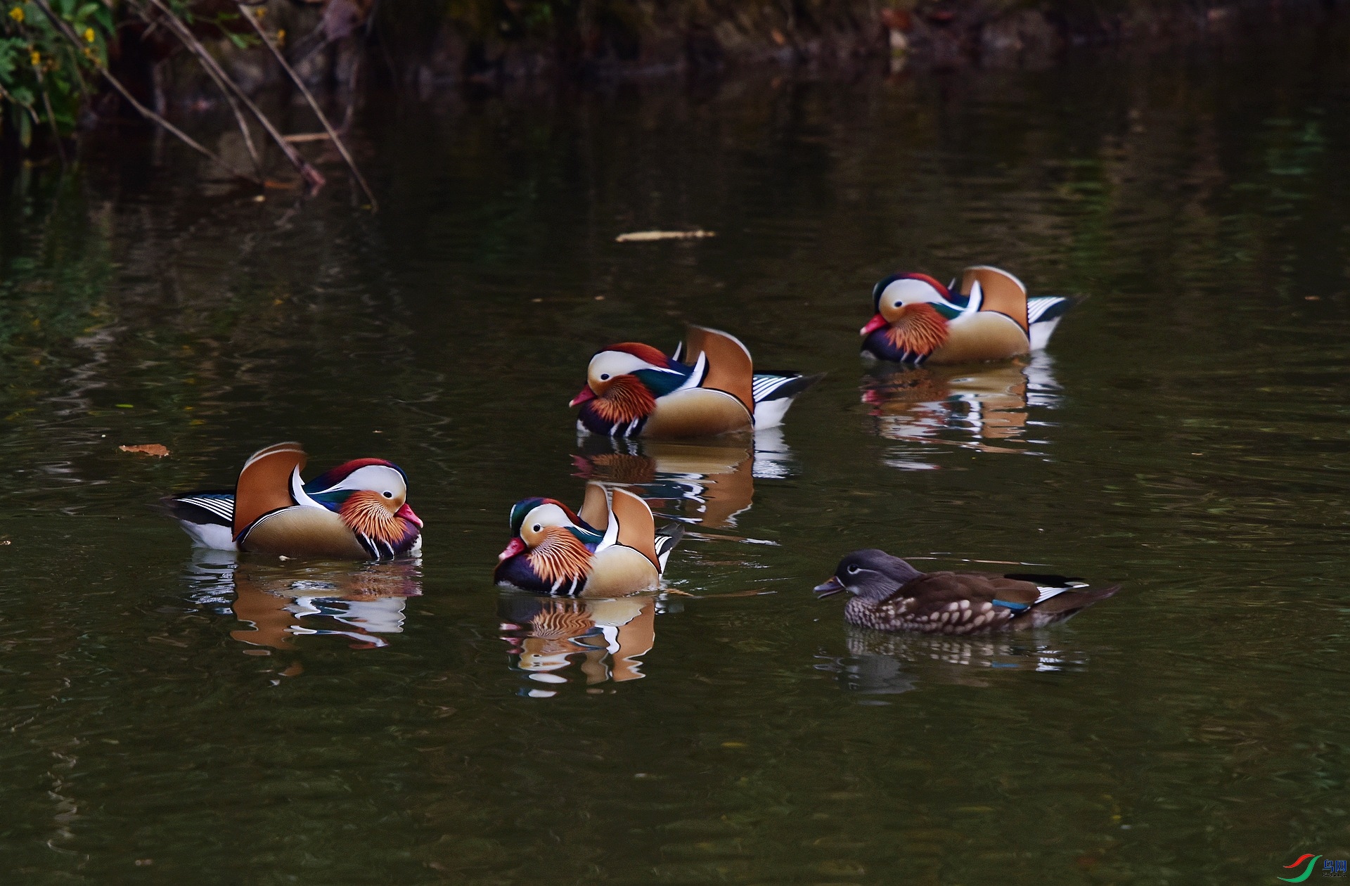 D8I_0937.jpg