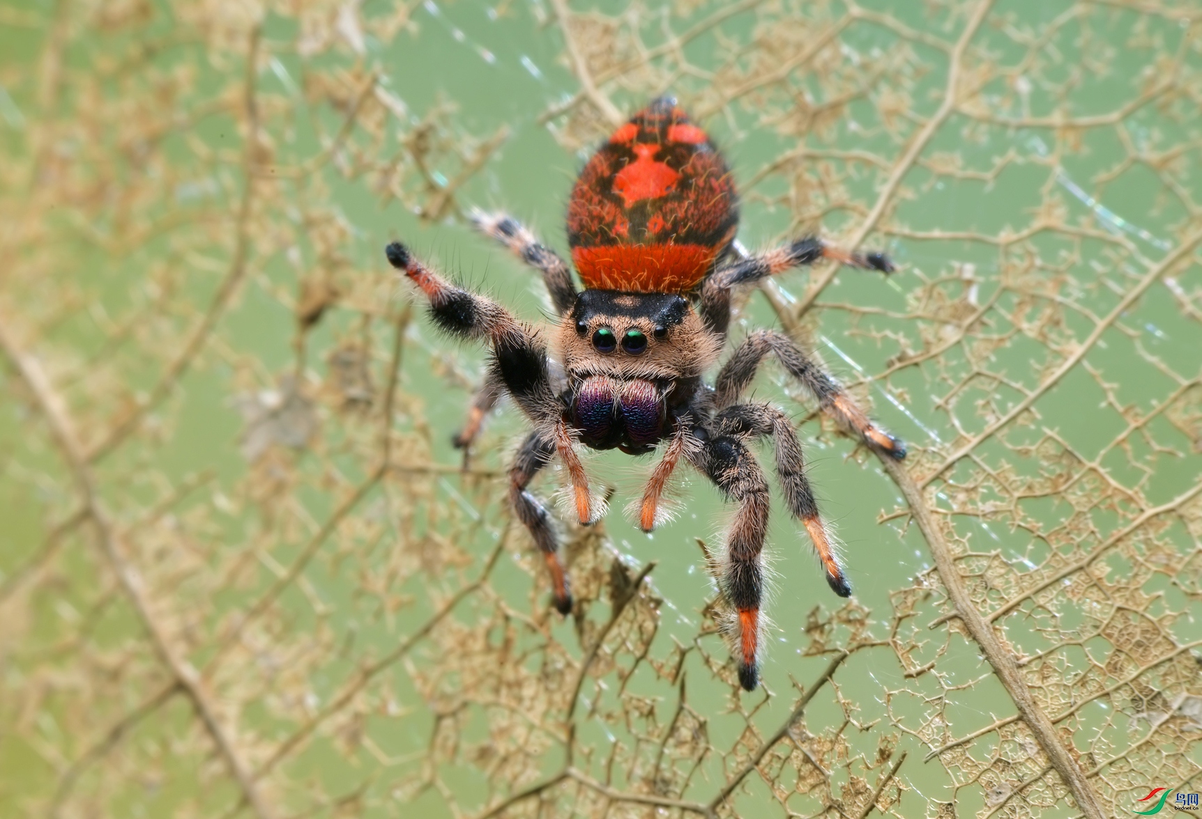 DSC_8303 ����.jpg