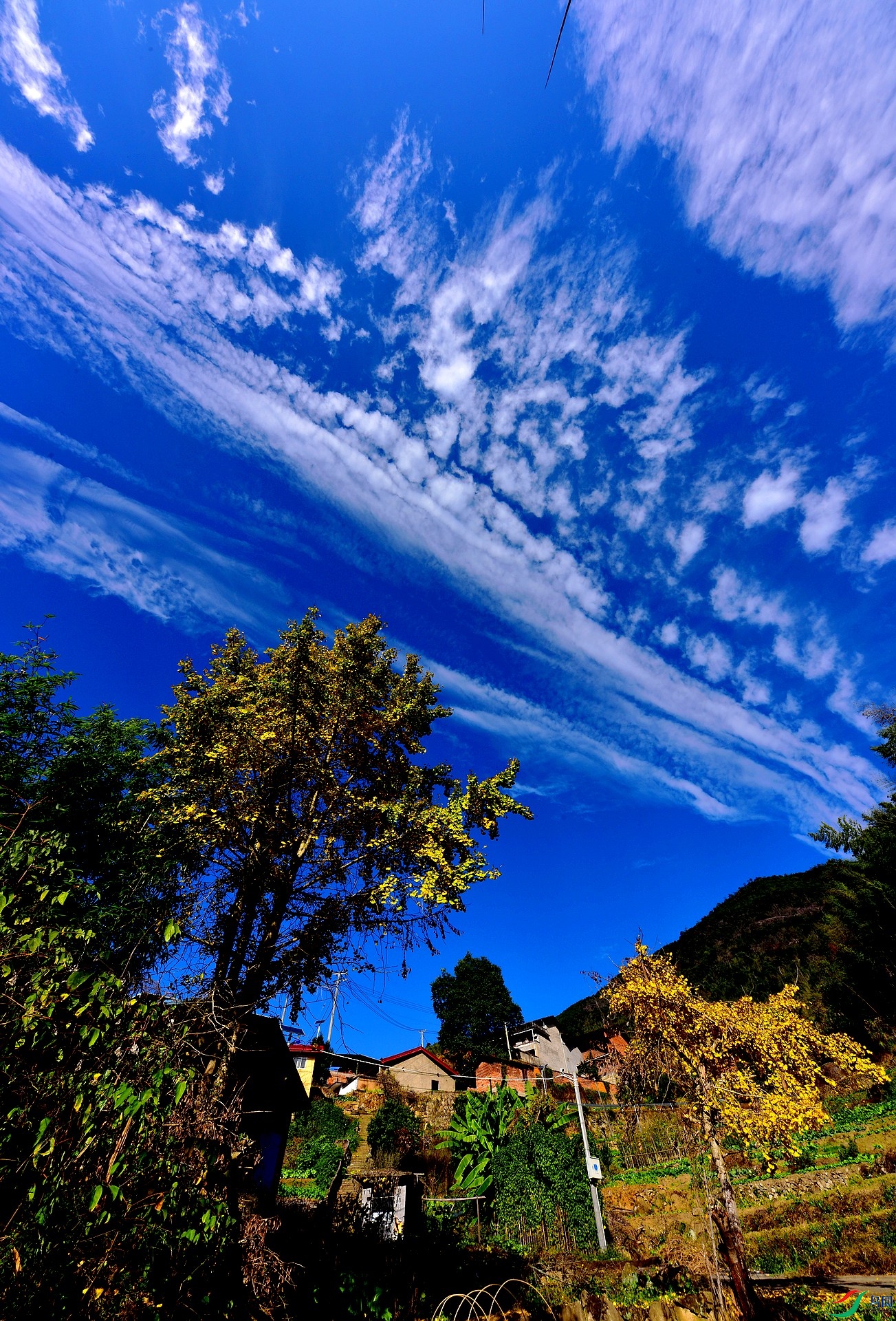 D8I_9365.jpg