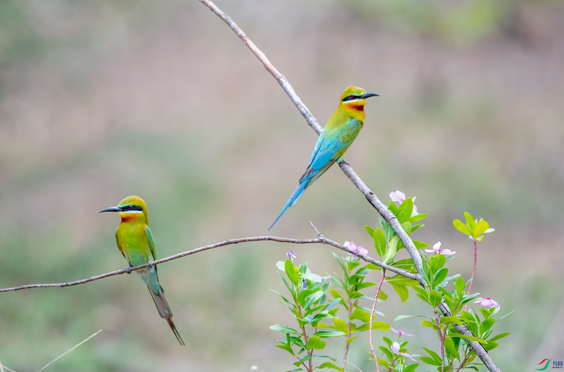 DSC_6712.jpg