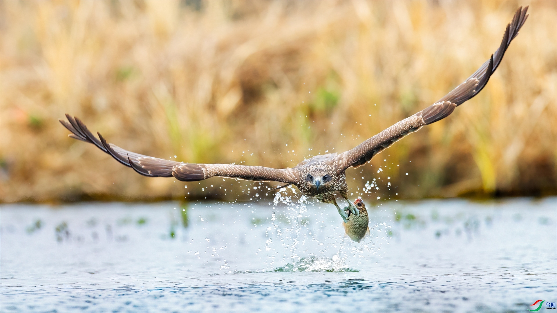 �ڶ��  ���� ��־���� ����.jpg