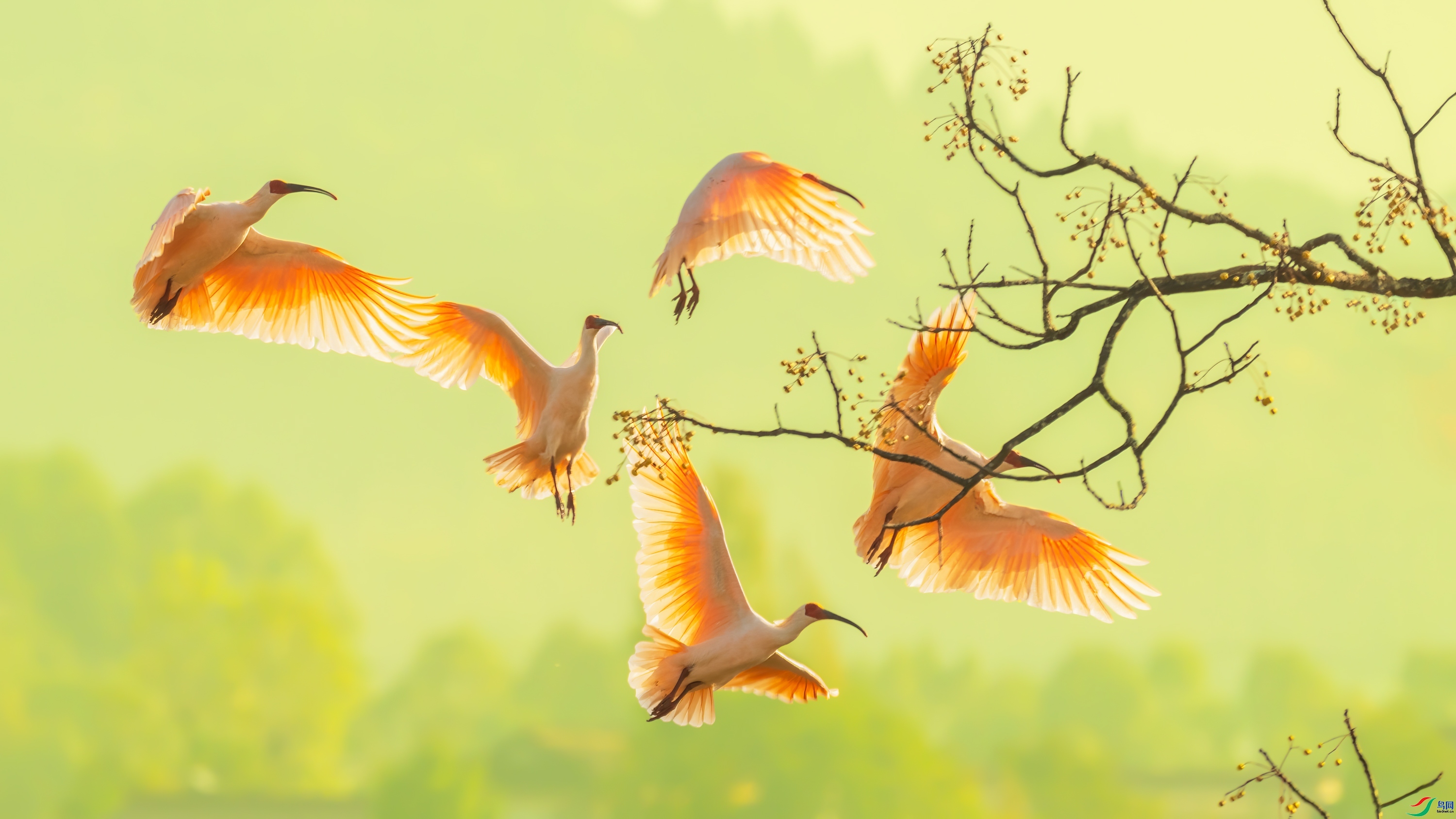 ���q����  ���� �Ű� ����.jpg