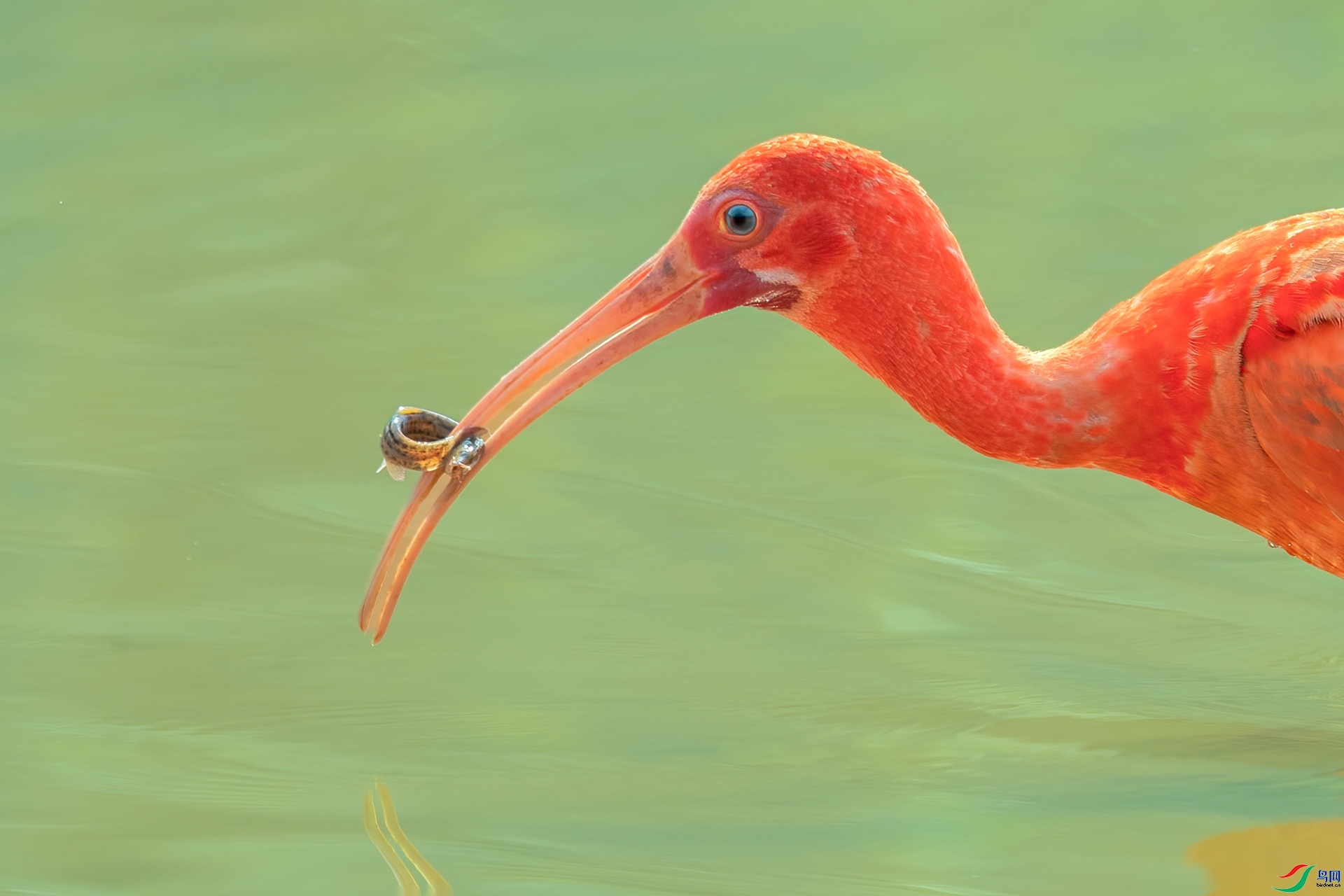 �����桰QQ����  ���� ��ͽ ����.jpg