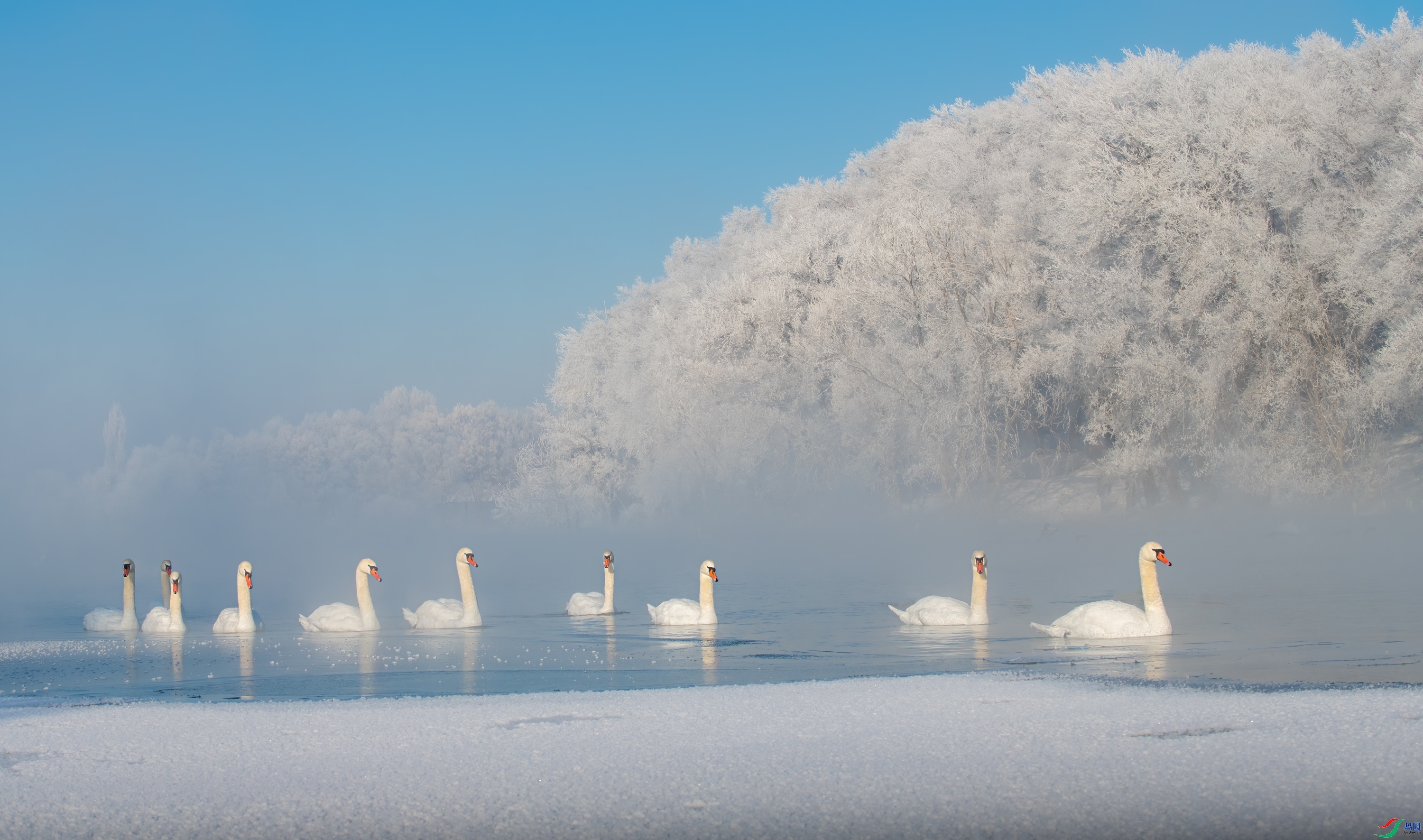 �жӳ��� ���� ��Ͽ֮�� ����.jpg