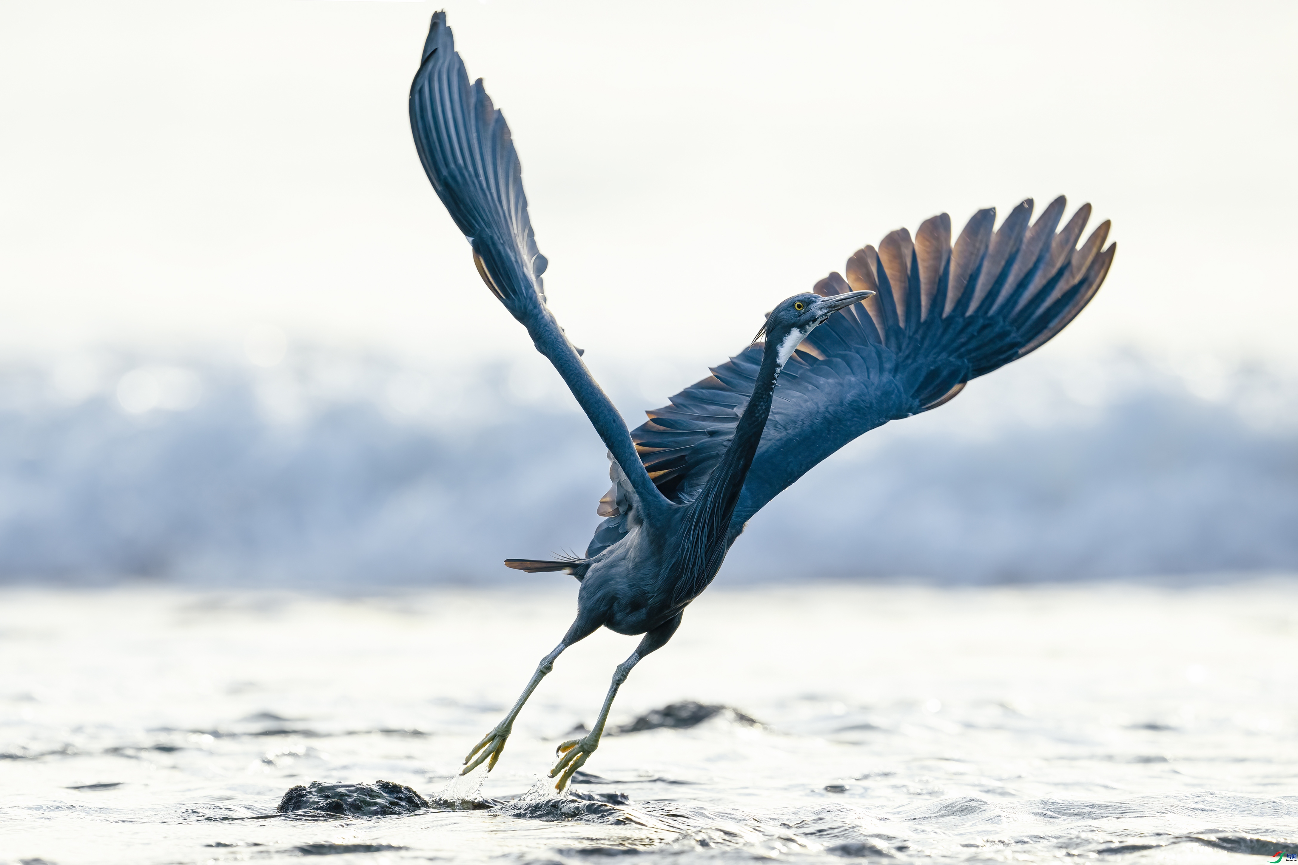 ��� ���� ����· ����.jpg