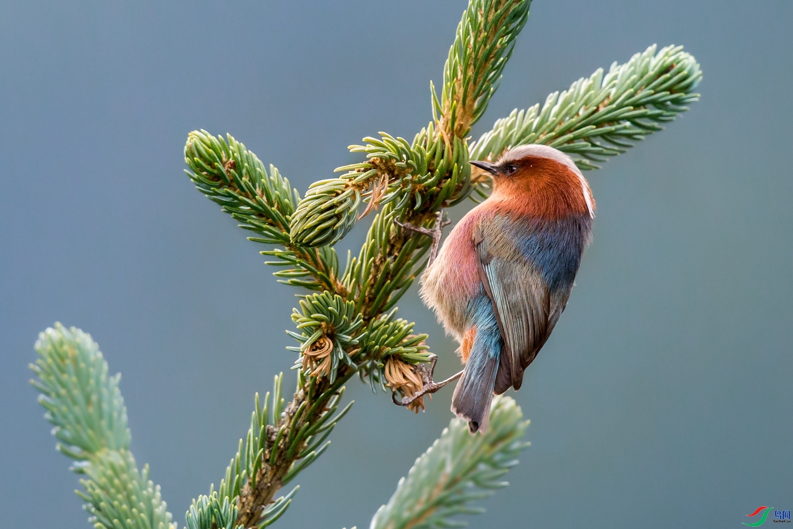 ��ͷȸݺ  ���� ��ͥ�Ų�yes ����.jpg