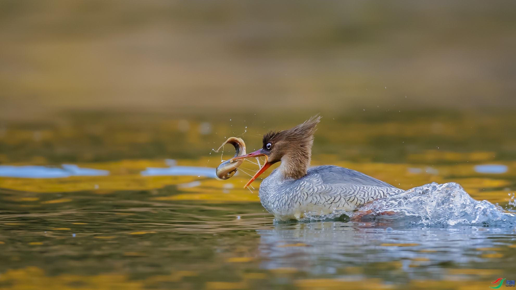 ��������  ���� ��ɽ���� ����.jpg