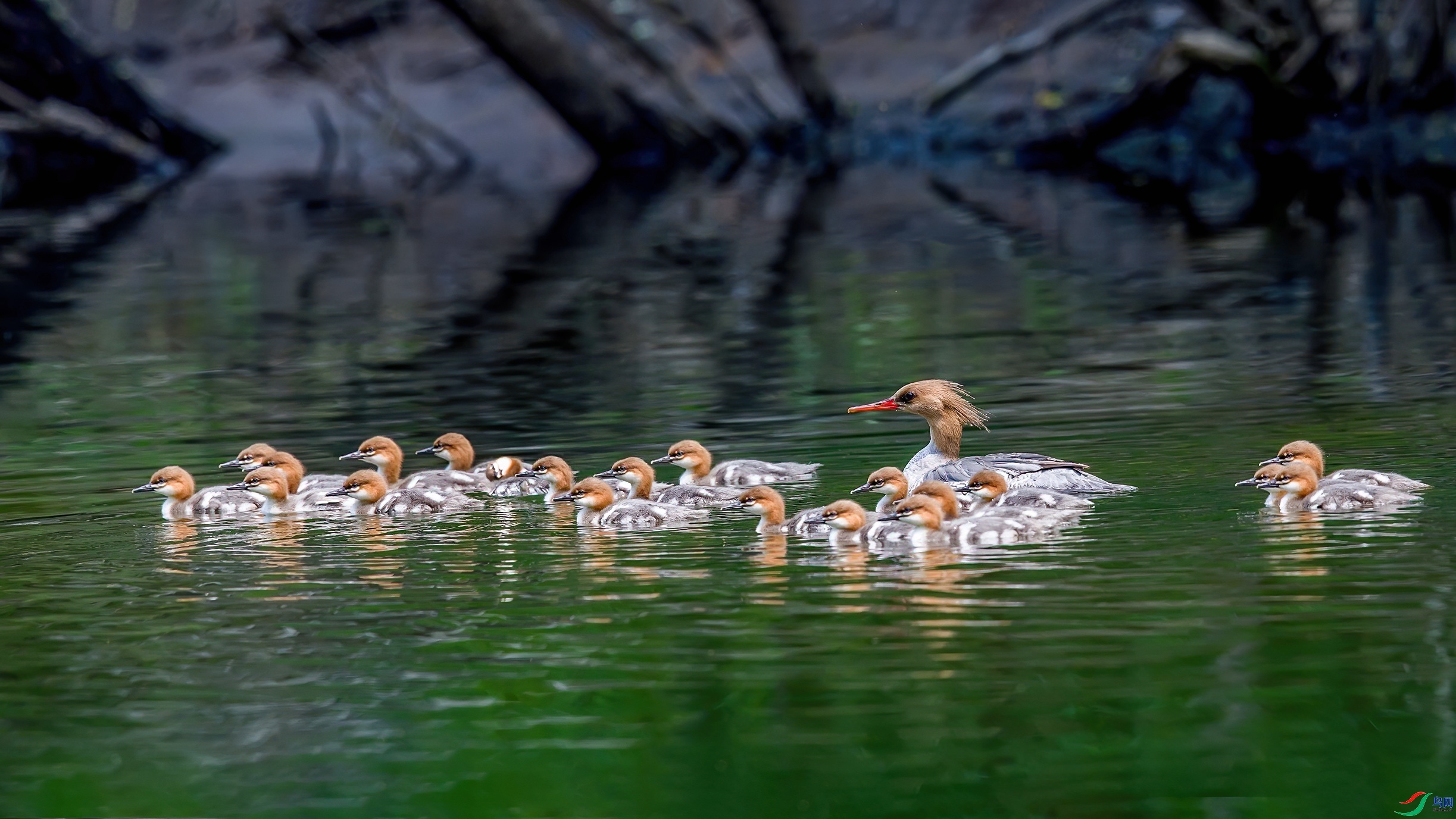 �л���ɳѼ ���� ���Ӿ� ����.jpg