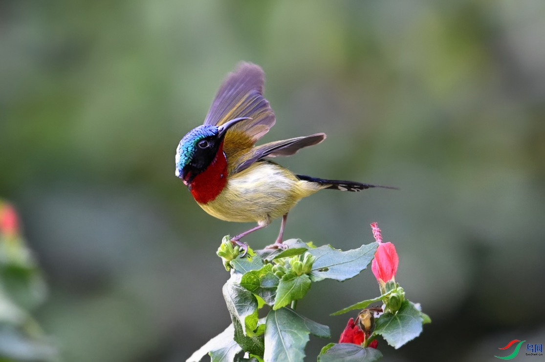 DSC_7382.jpg