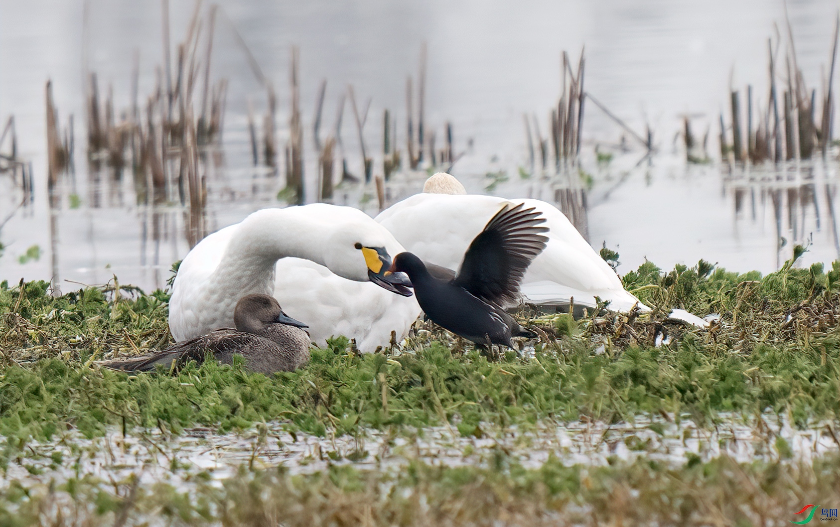DSC_0689.jpg