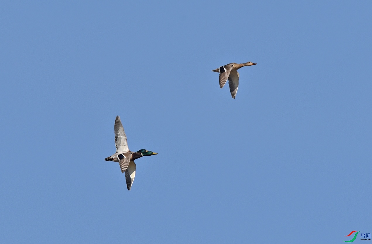 DSC_4612f_��ͼ��.jpg
