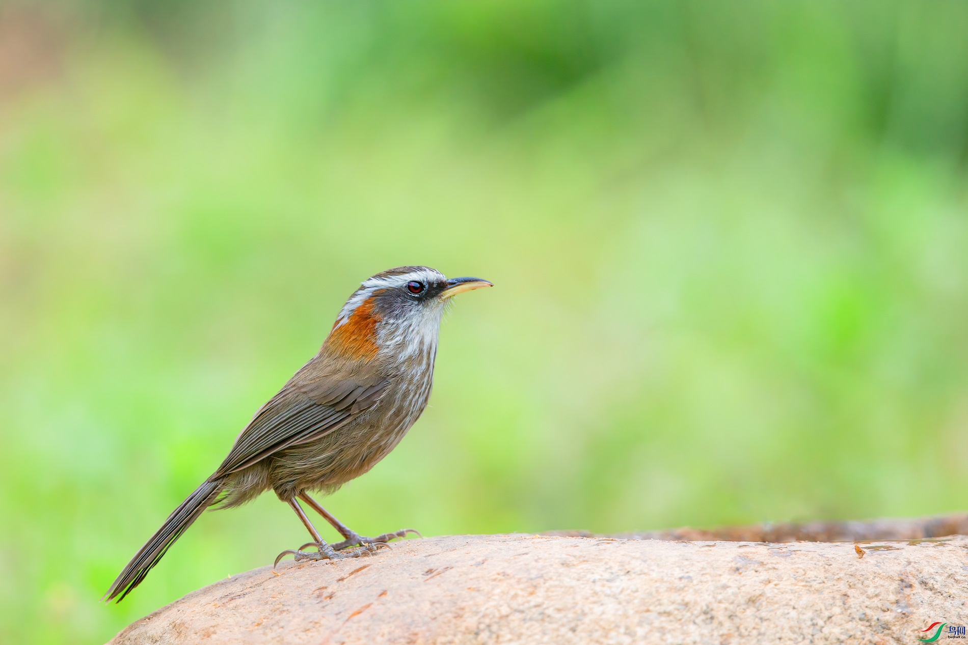 AQ4P1576-1.jpg