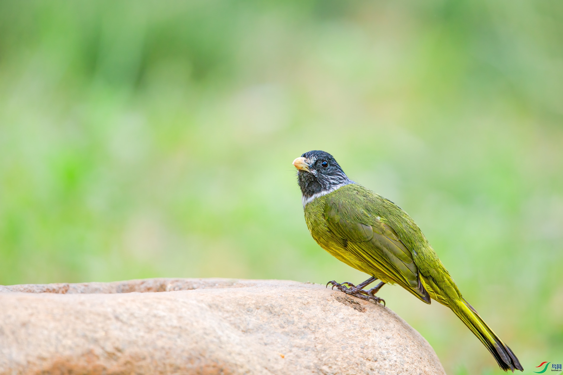 AQ4P1526-1.jpg