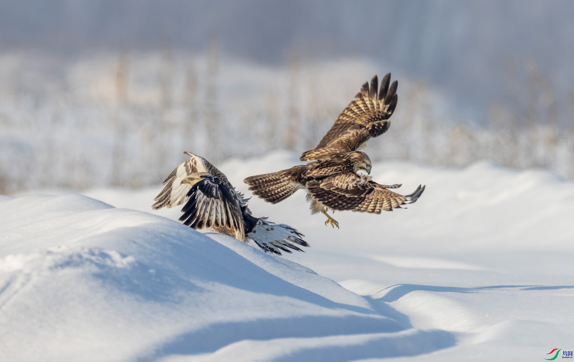 ����˫�\��