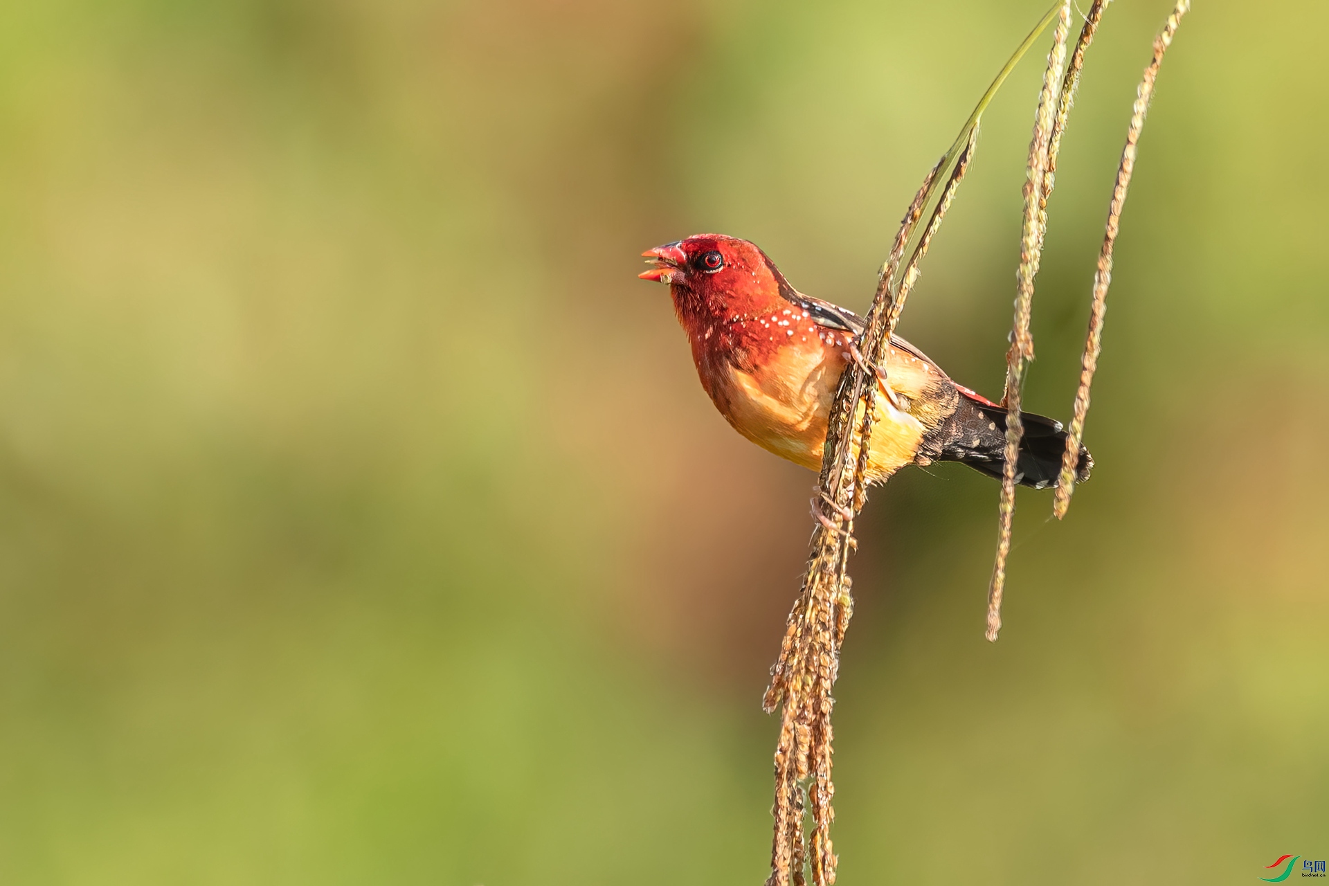 B86I1722 _����.jpg