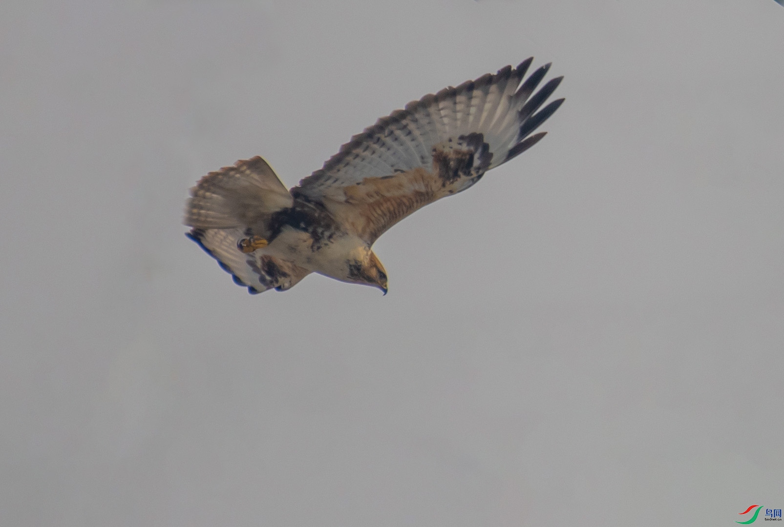 DSC_8215 ����.jpg