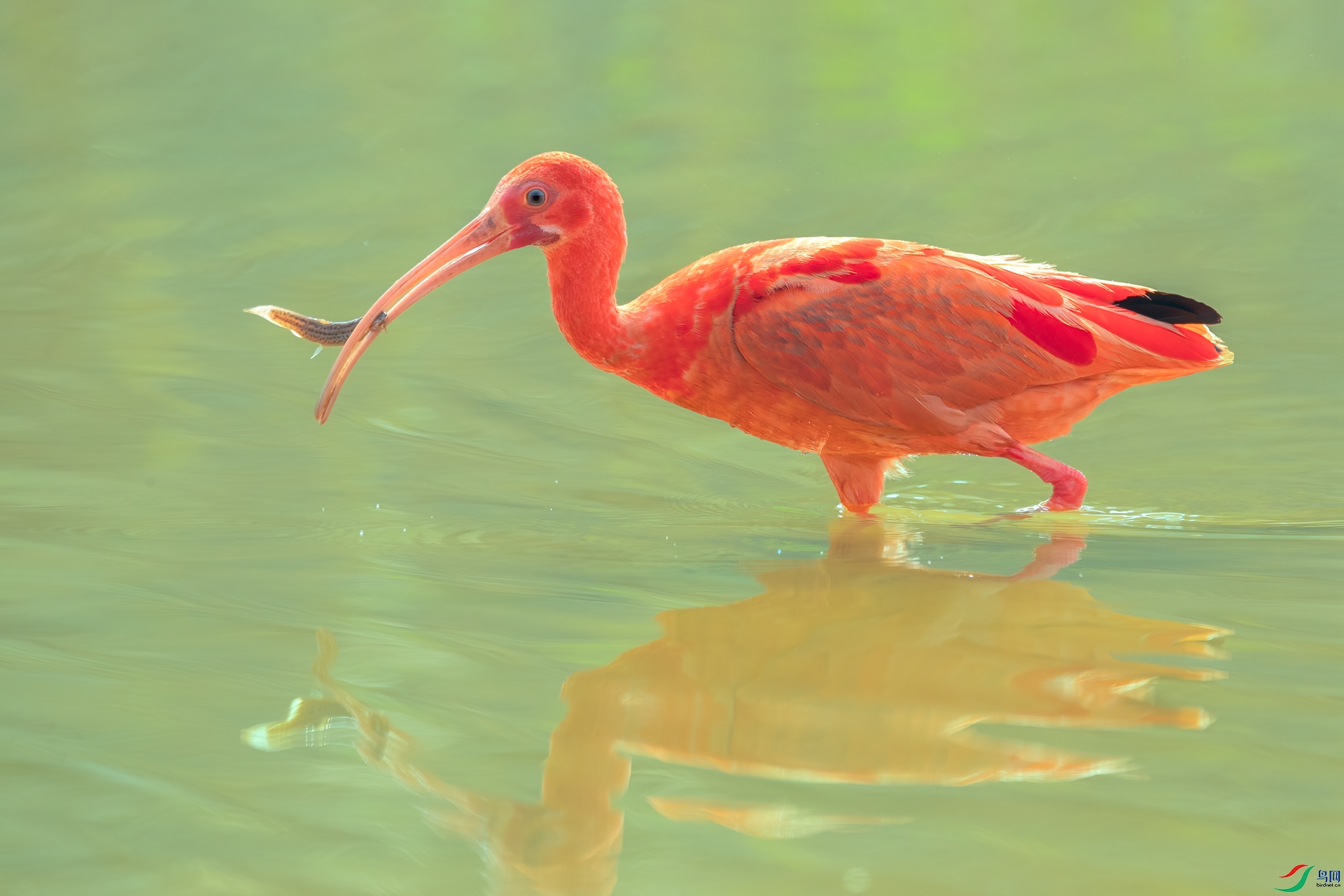 B86I5178 _����.jpg