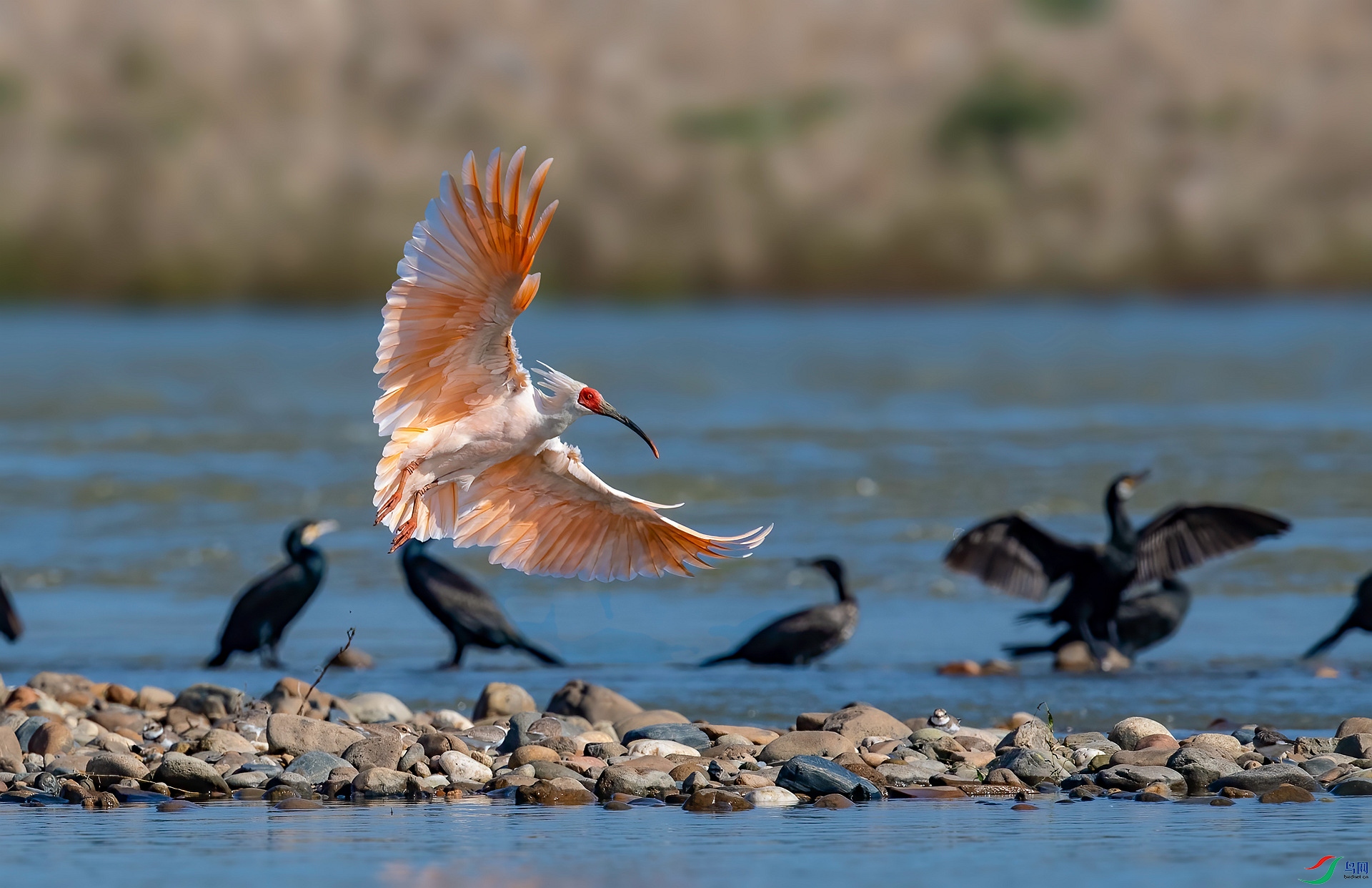 DSC_8854 ����_����.jpg